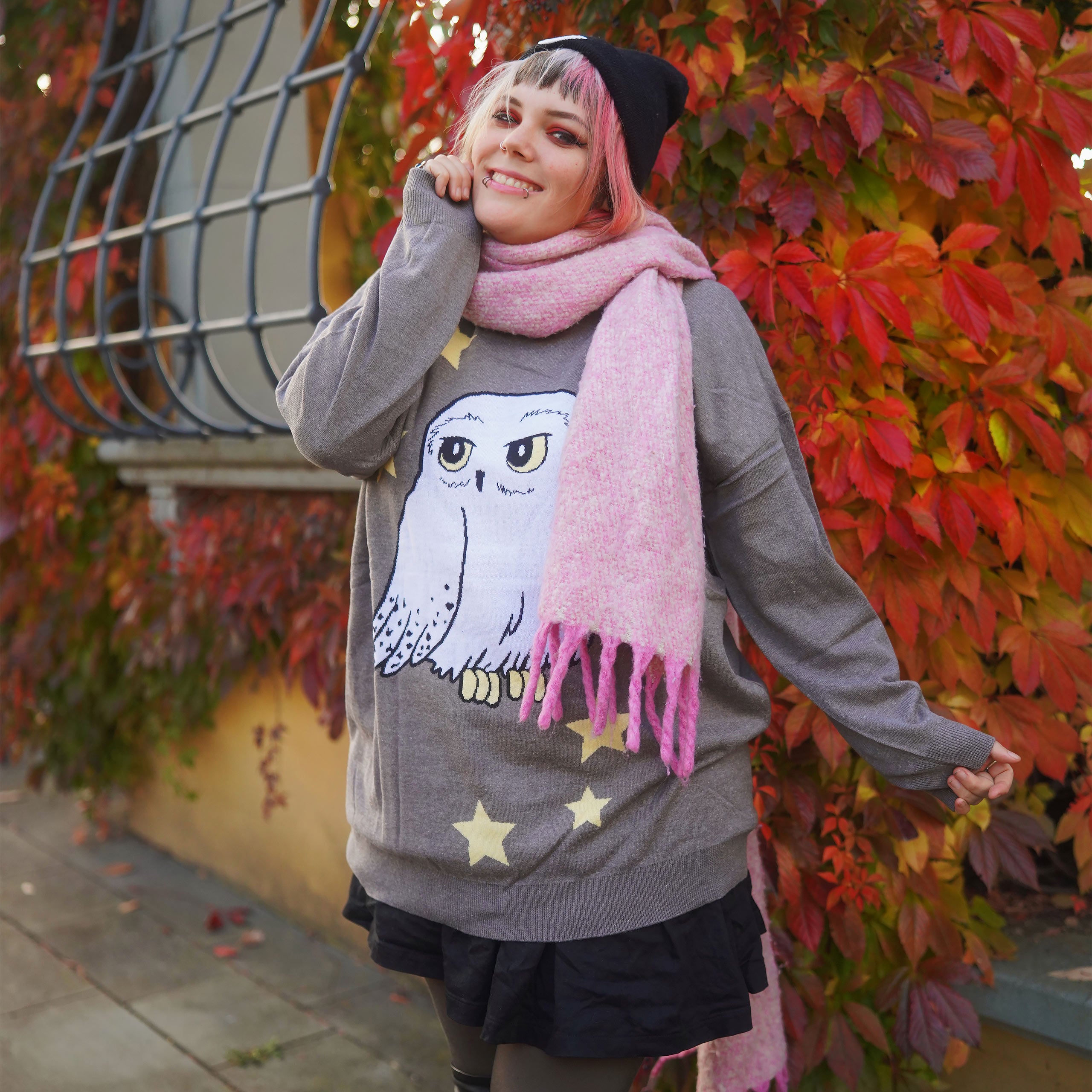 Imagen del producto Harry Potter - Jersey Oversize de Hedwig gris