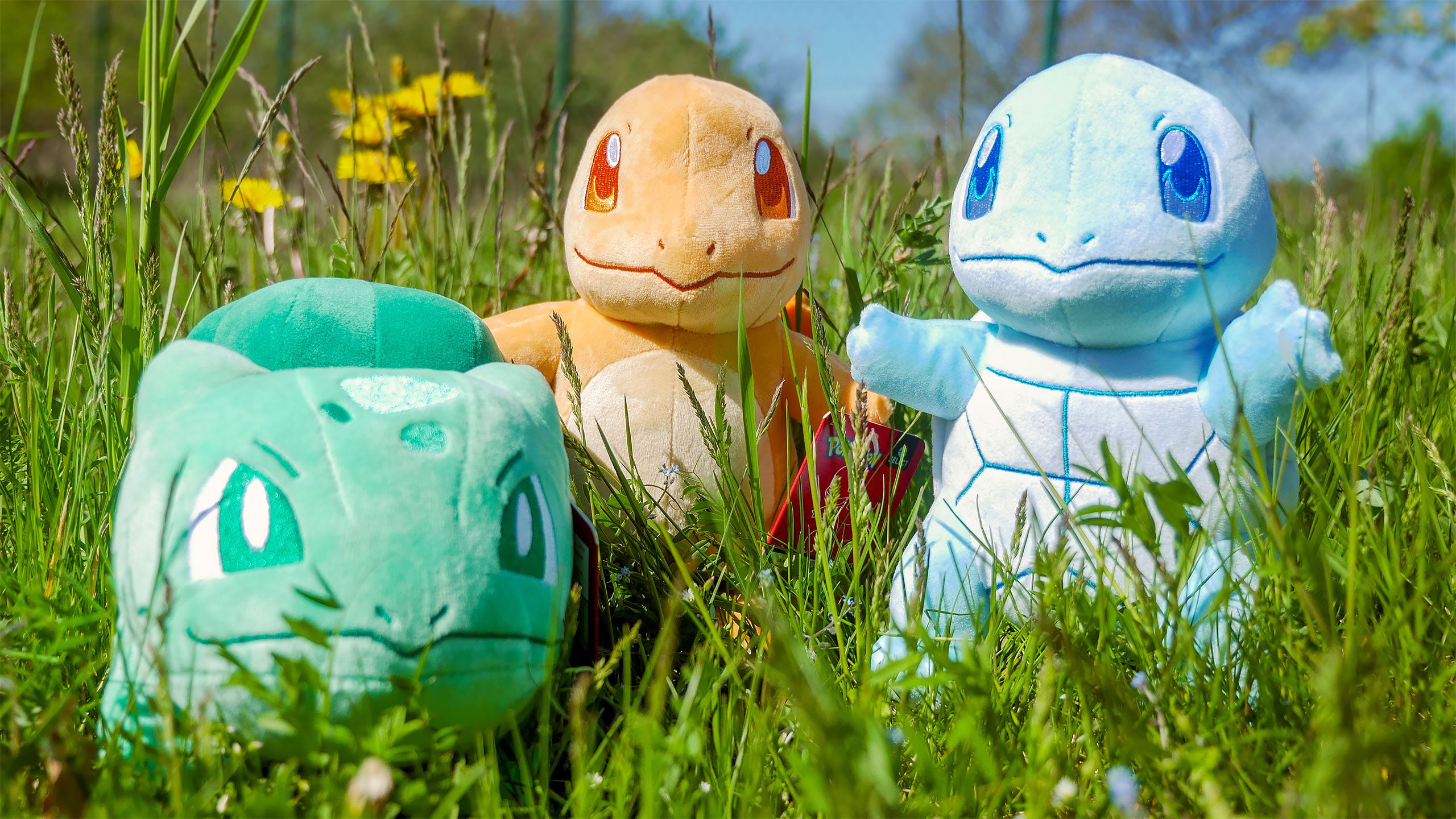 Product image Pokemon - Squirtle Monochrome Plush Figure 21 cm