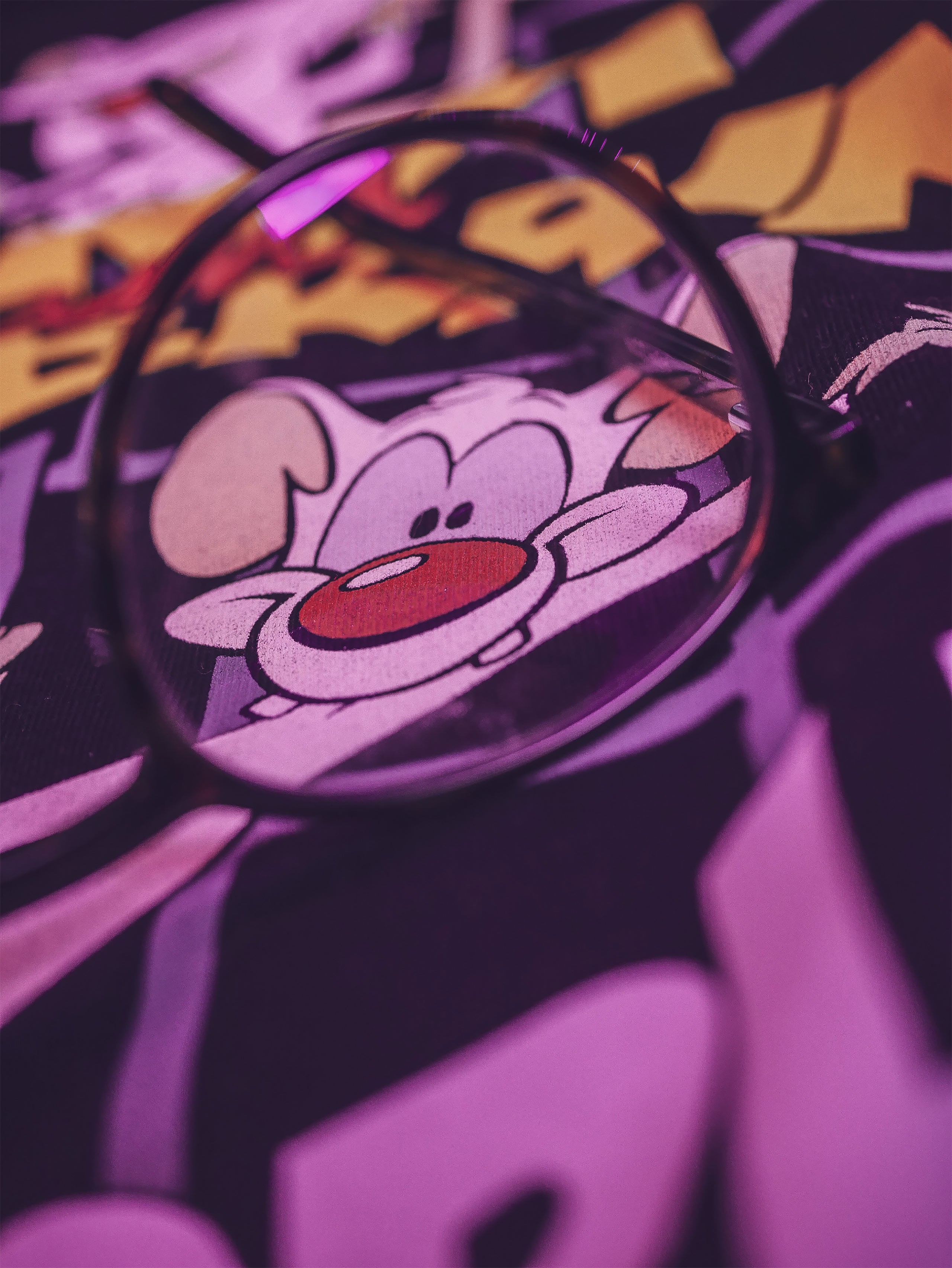 Imagen del producto Pinky y Cerebro - Camiseta Take Over The World