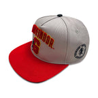 Imagen del producto Harry Potter - Gorra Snapback con Logo de Gryffindor en Felpa