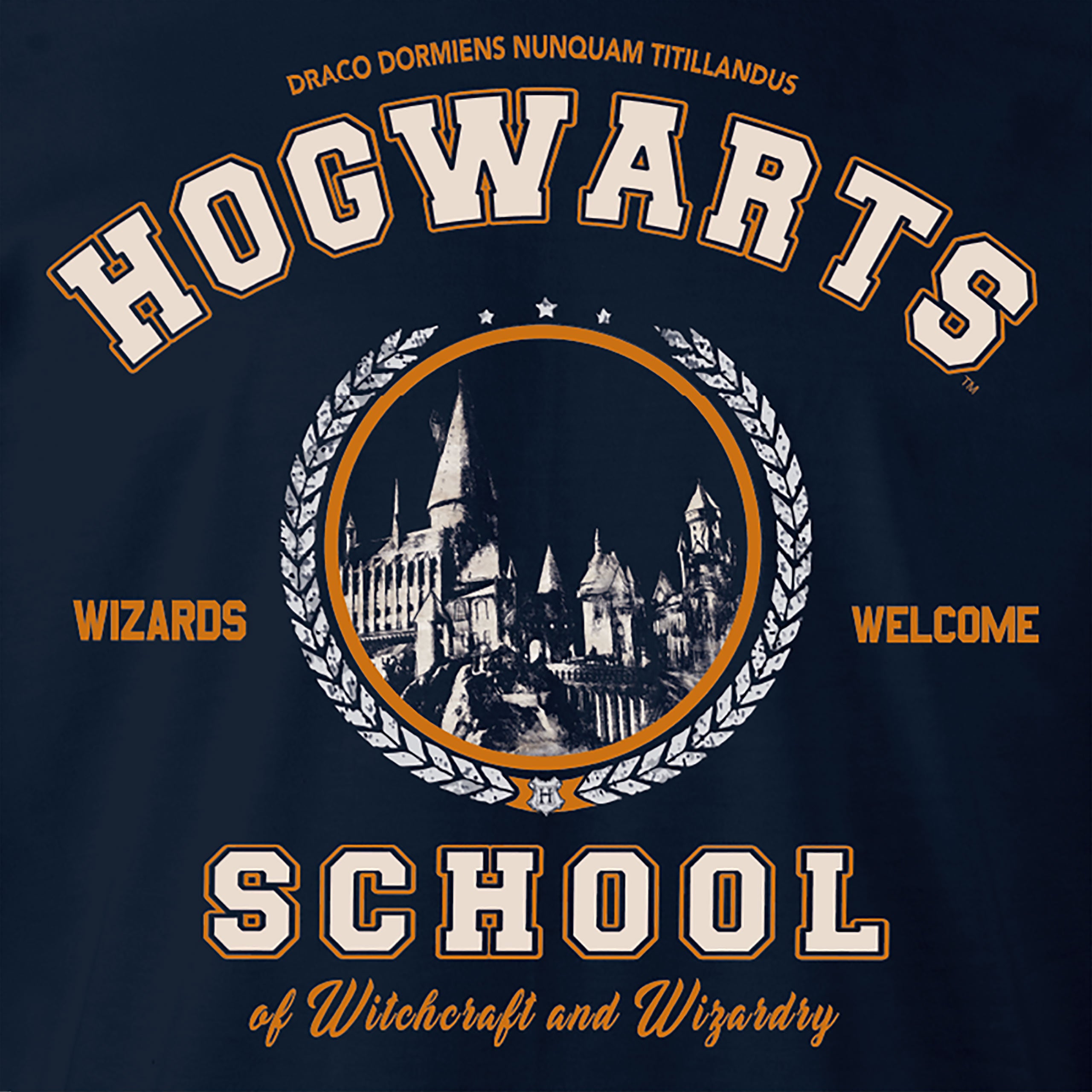 Imagen del producto Harry Potter - Sudadera con capucha de la Escuela Hogwarts azul