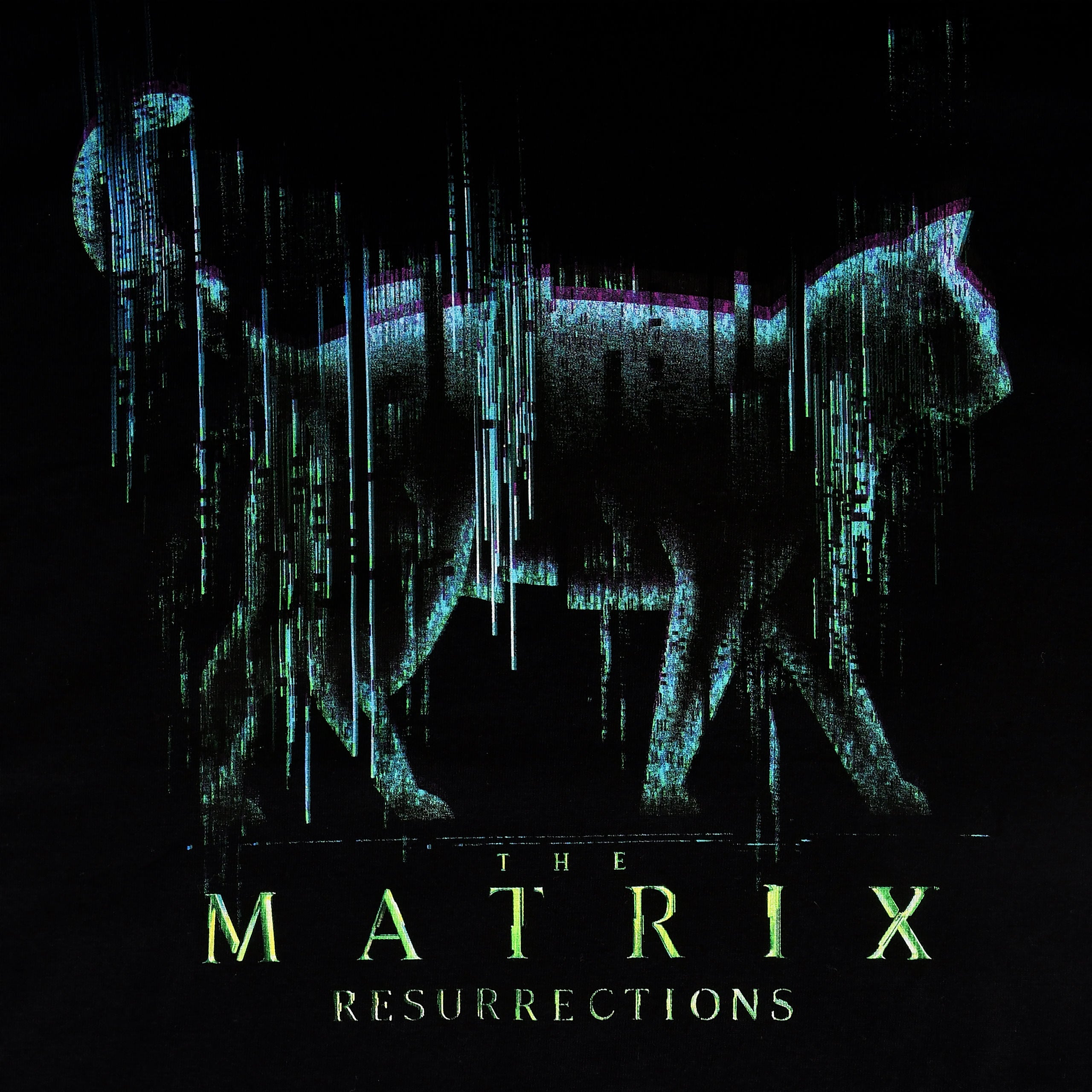 Imagen del producto Matrix - Camiseta negra Black Cat