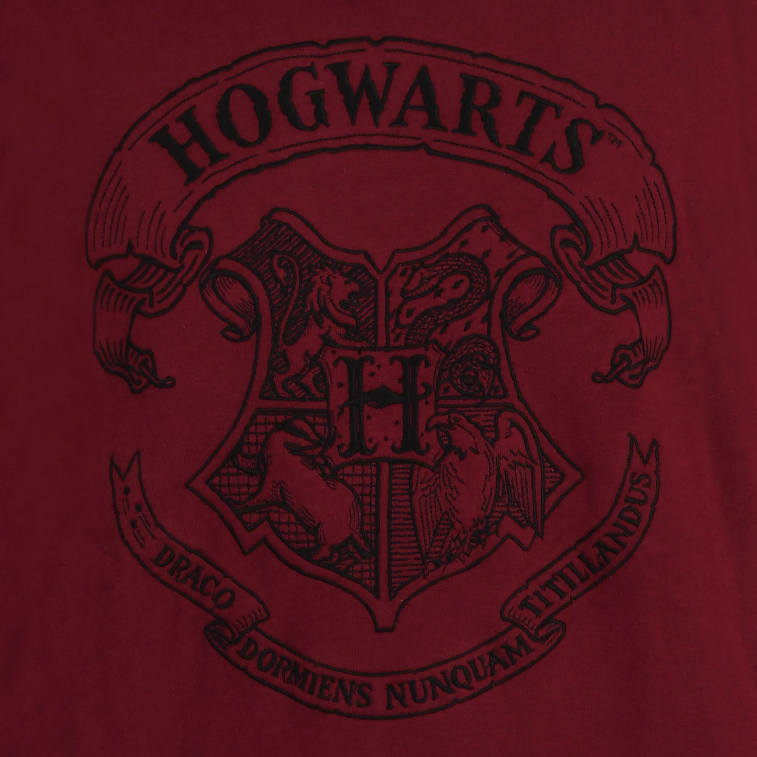 Imagen del producto Harry Potter - Sudadera con capucha roja del logo de Hogwarts