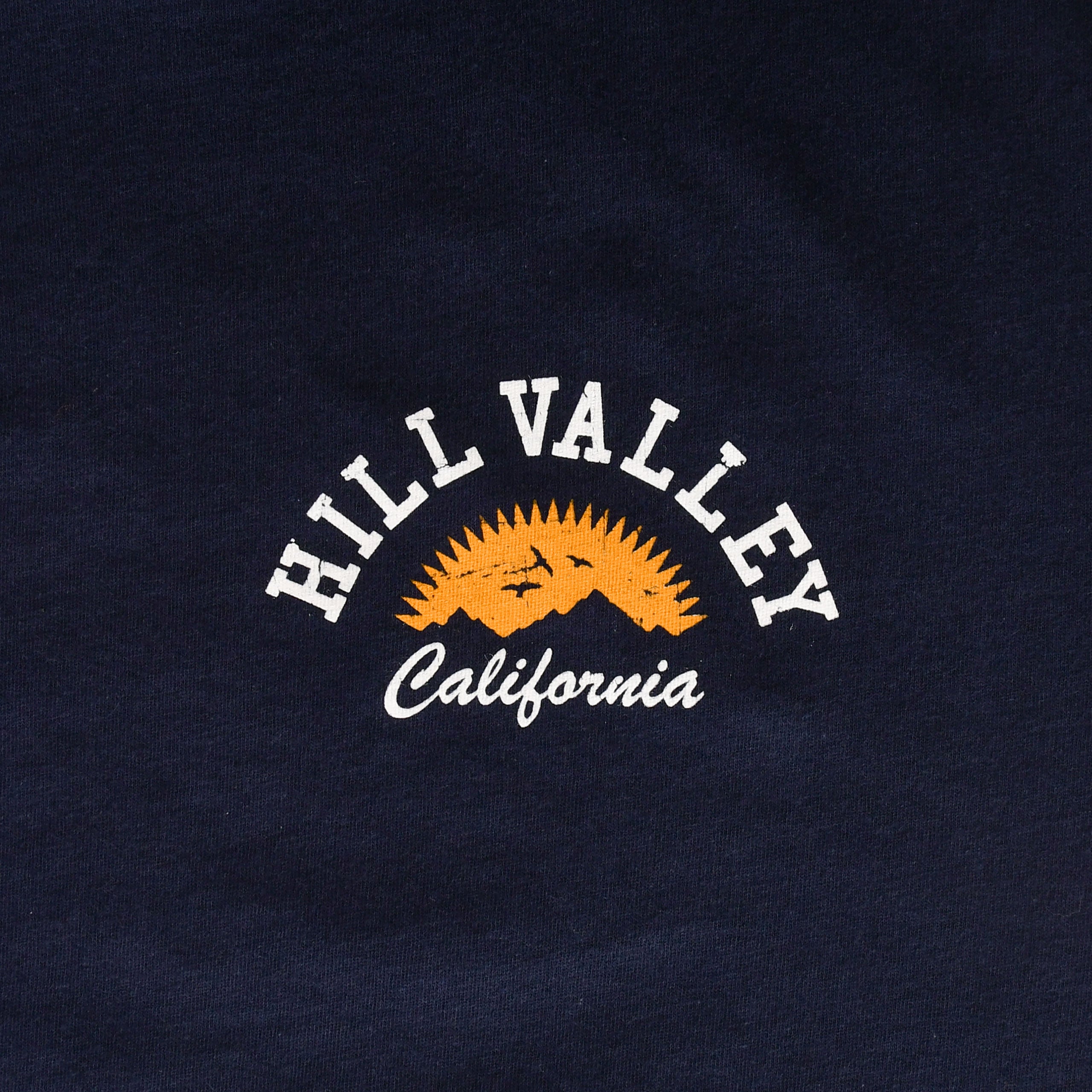 Imagen del producto Regreso al futuro - Camiseta Hill Valley azul