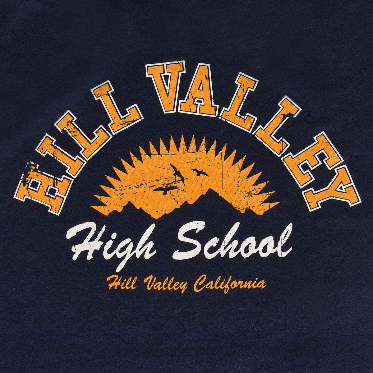 Imagen del producto Regreso al futuro - Camiseta Hill Valley azul