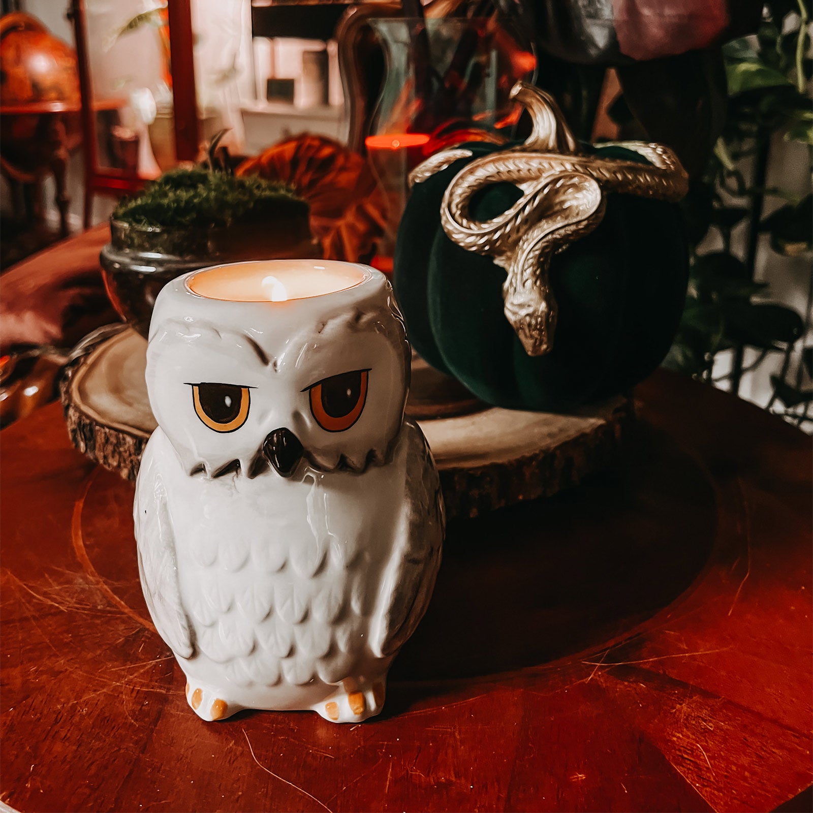 Imagen del producto Portavelas Hedwig - Harry Potter