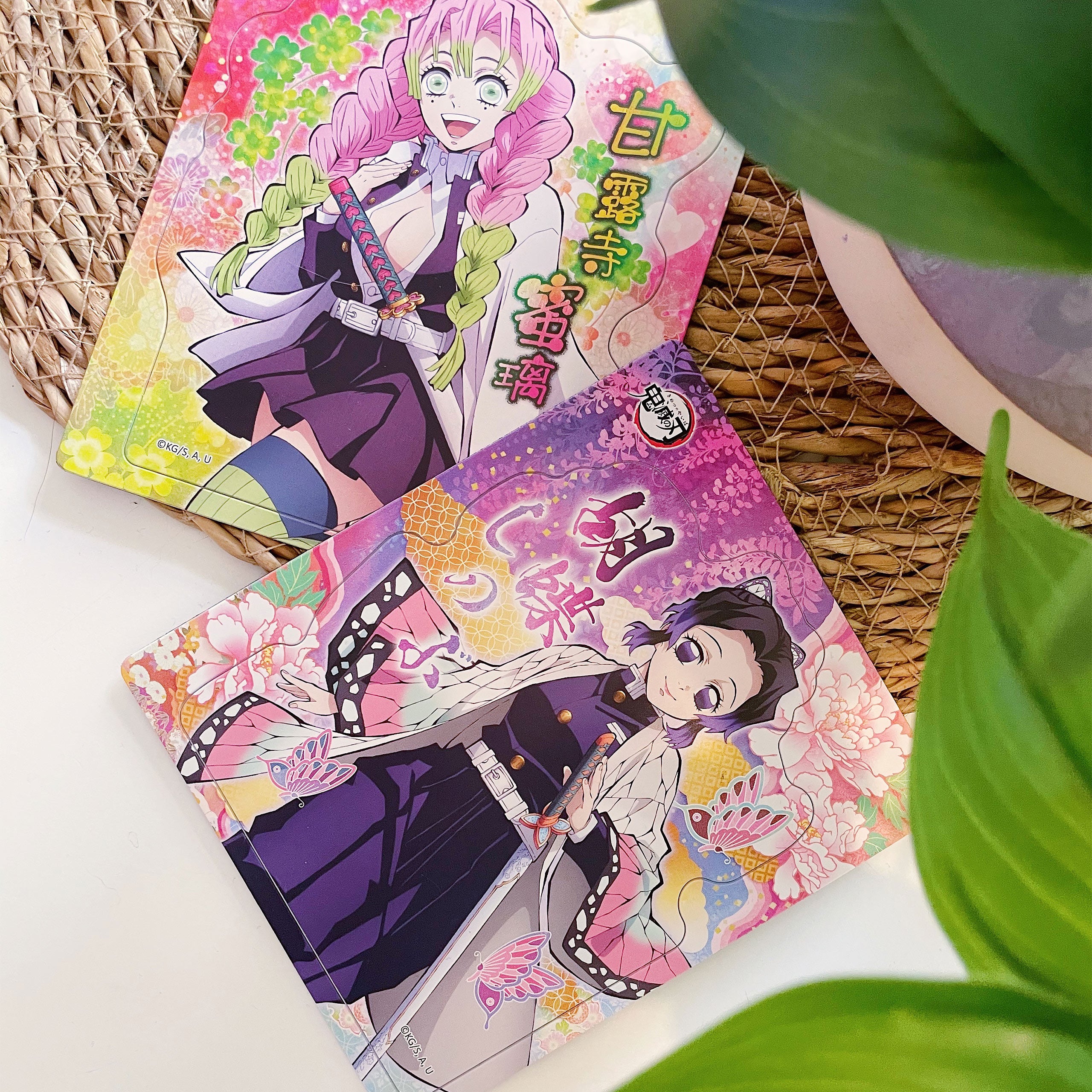 Product image Demon Slayer - Mystery Magnet