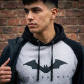 Imagen del producto The Batman - Logo Baseball Hoodie gris-negro