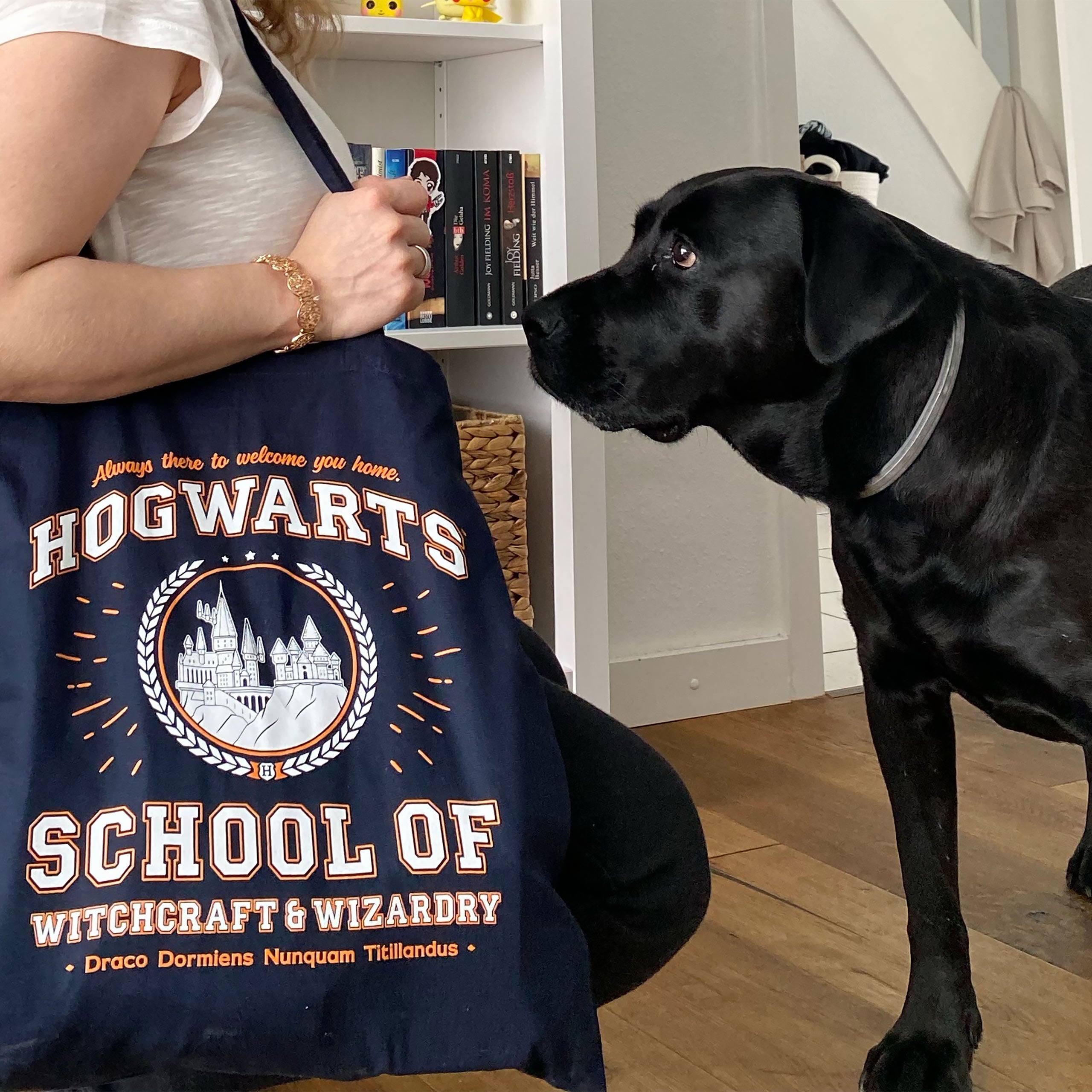 Imagen del producto Bolsa de yute Hogwarts School azul - Harry Potter