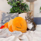 Imagen del producto Pokemon - Figura de Peluche Charmander durmiendo