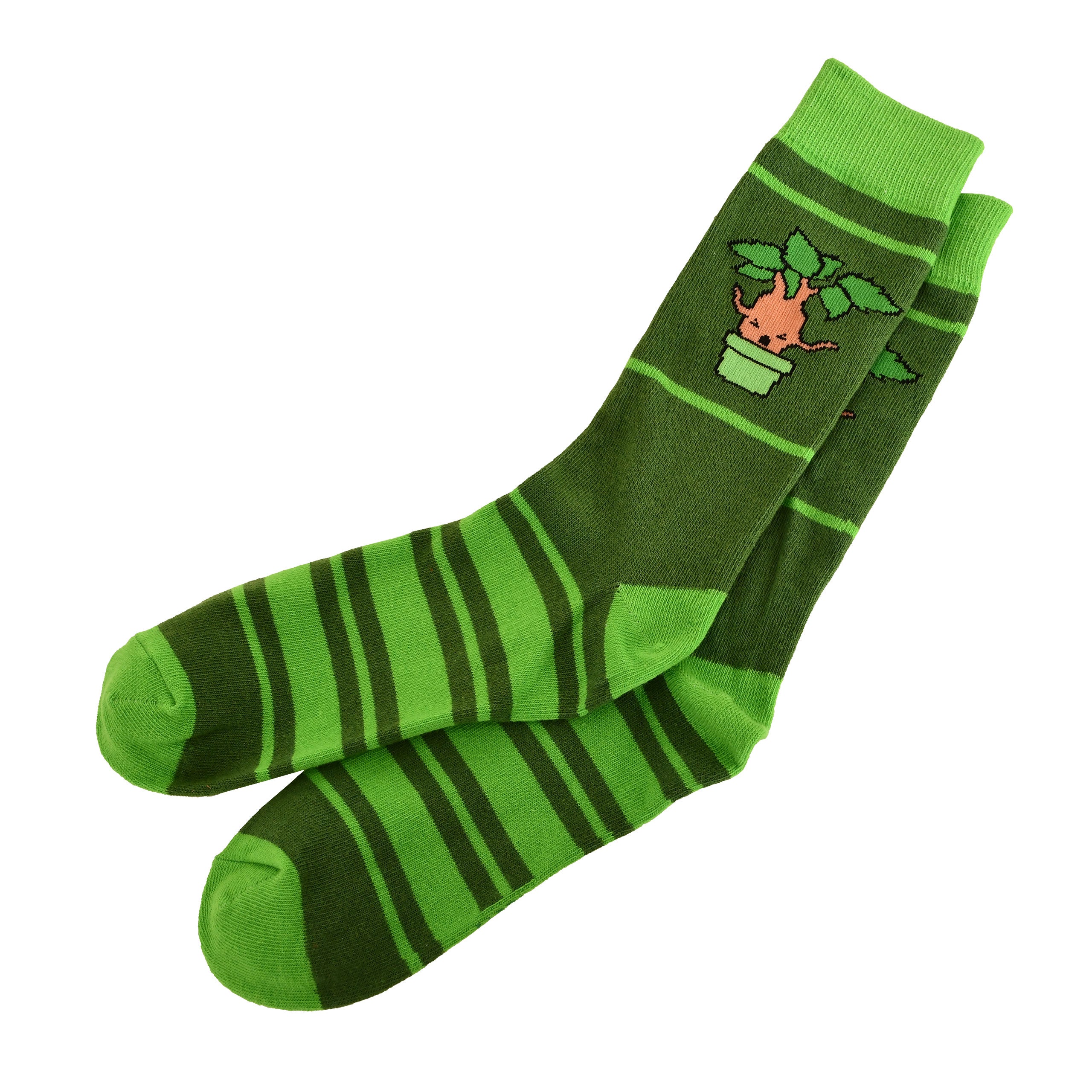 Imagen del producto Harry Potter - Calcetines Chibi Mandrake verde