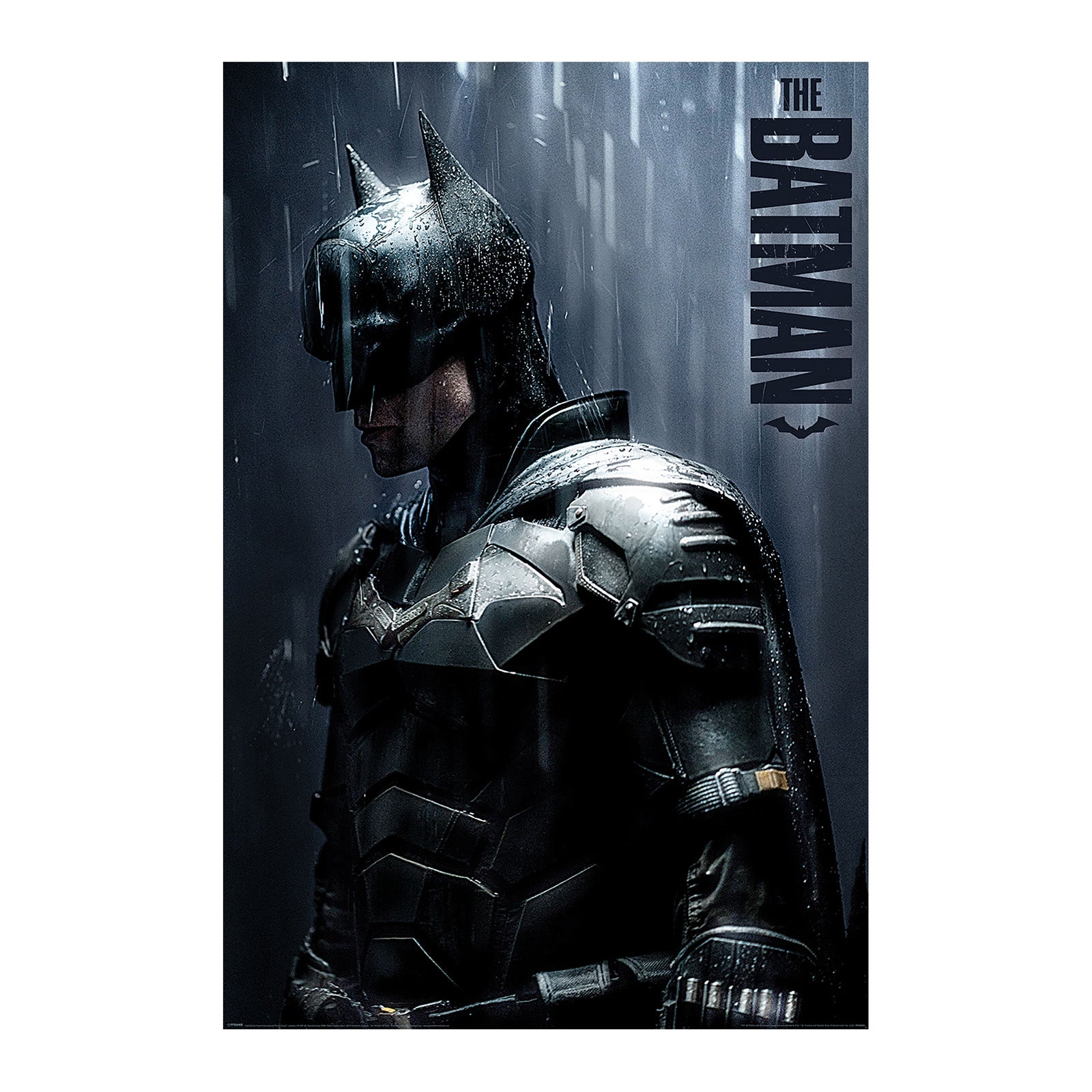 Imagen del producto The Batman - Downpour Maxi Poster