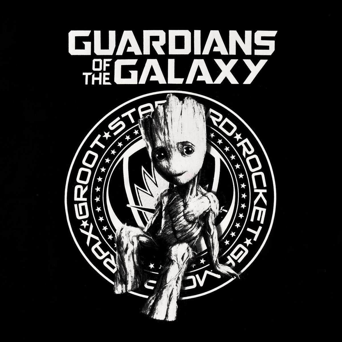 Imagen del producto Guardianes de la Galaxia - Camiseta Groot negra