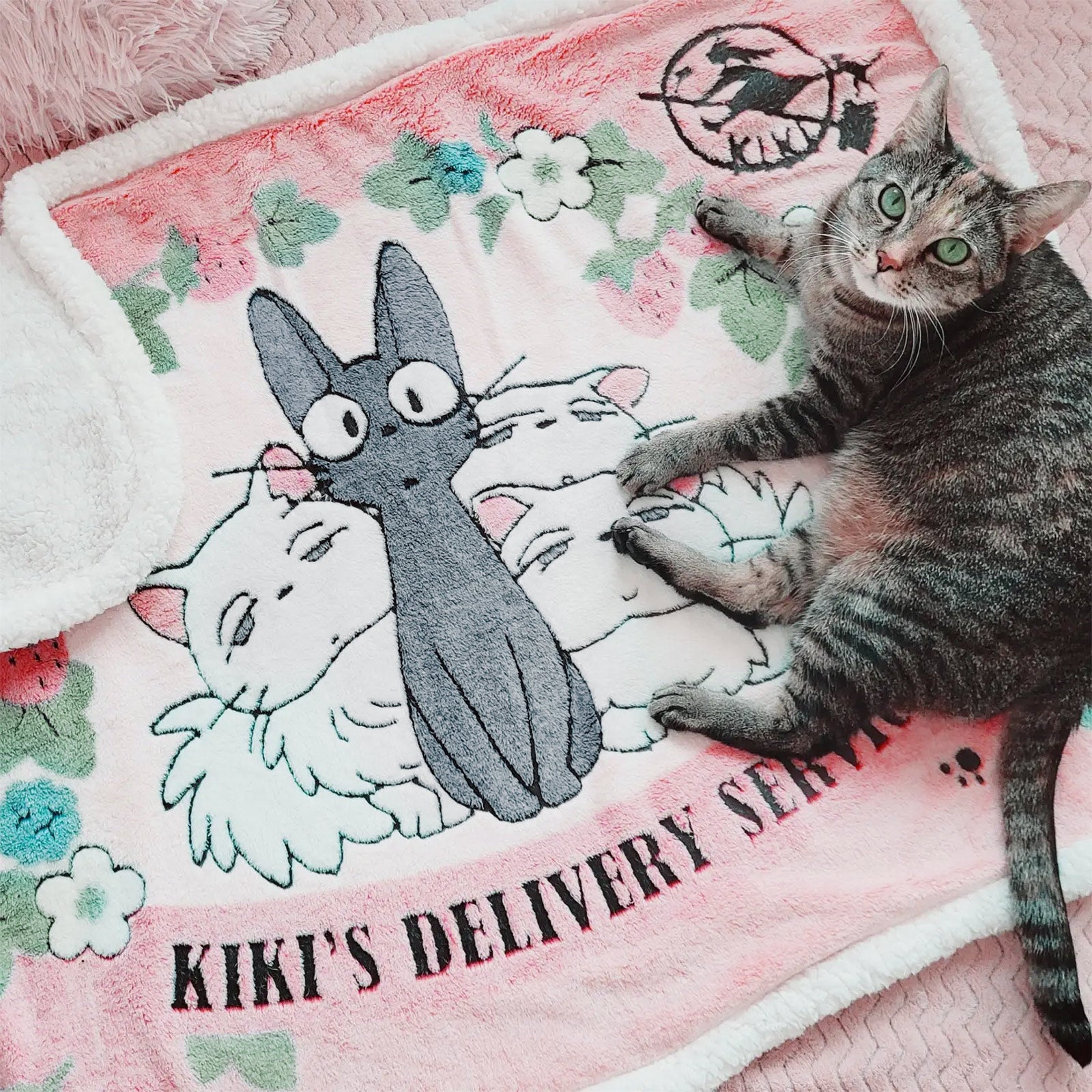 Imagen del producto El Servicio de Entrega de Kiki - Manta Jiji