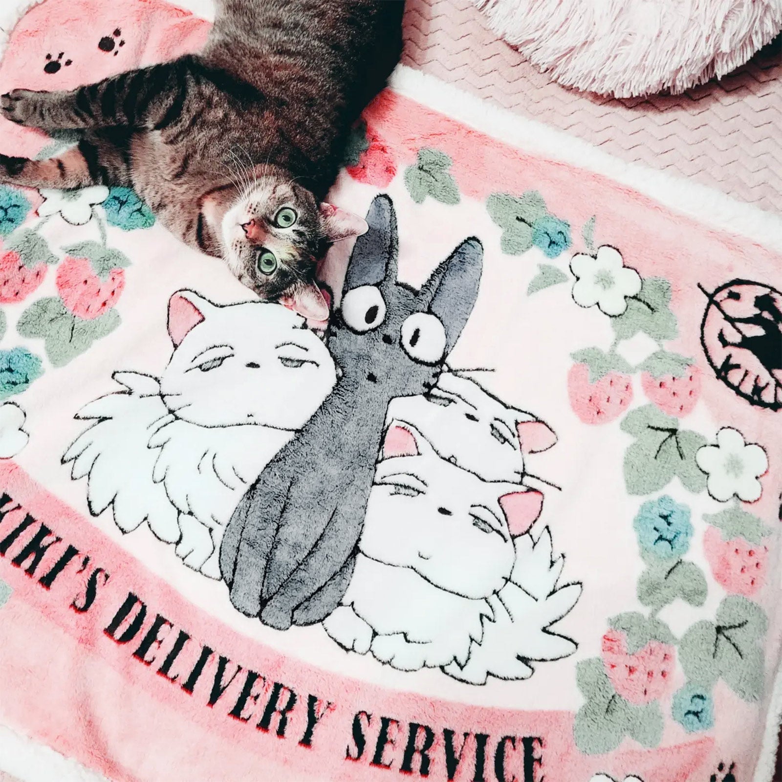 Imagen del producto El Servicio de Entrega de Kiki - Manta Jiji
