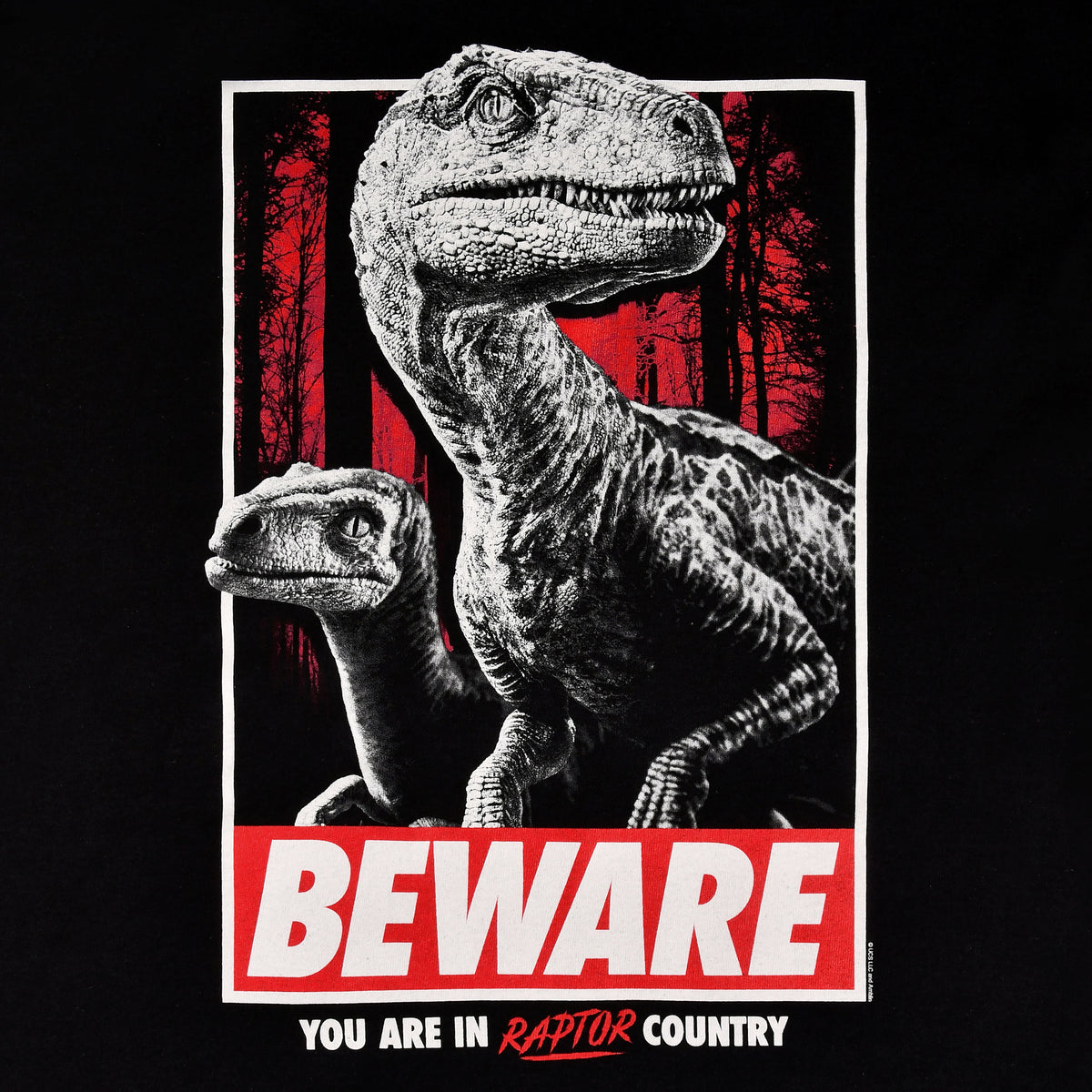 Imagen del producto Jurassic Park - Cuidado Raptor Country Camiseta negra