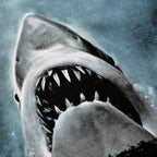 Imagen del producto Tiburón - Camiseta negra con póster de Jaws