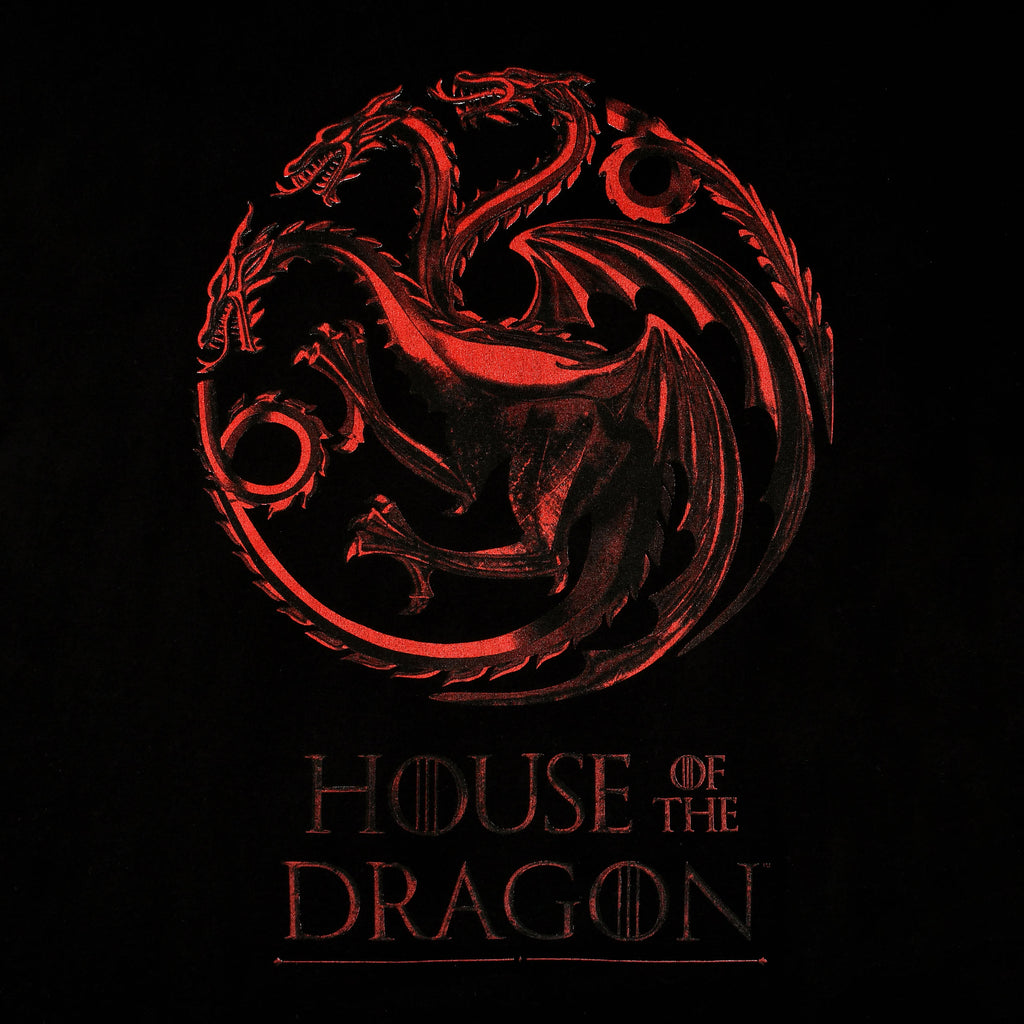 Imagen del producto House of the Dragon - Camiseta con logo negro