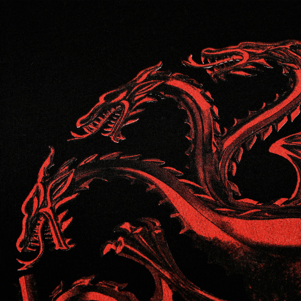 Imagen del producto House of the Dragon - Camiseta con logo negro