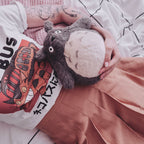 Imagen del producto Figura de peluche Totoro gris