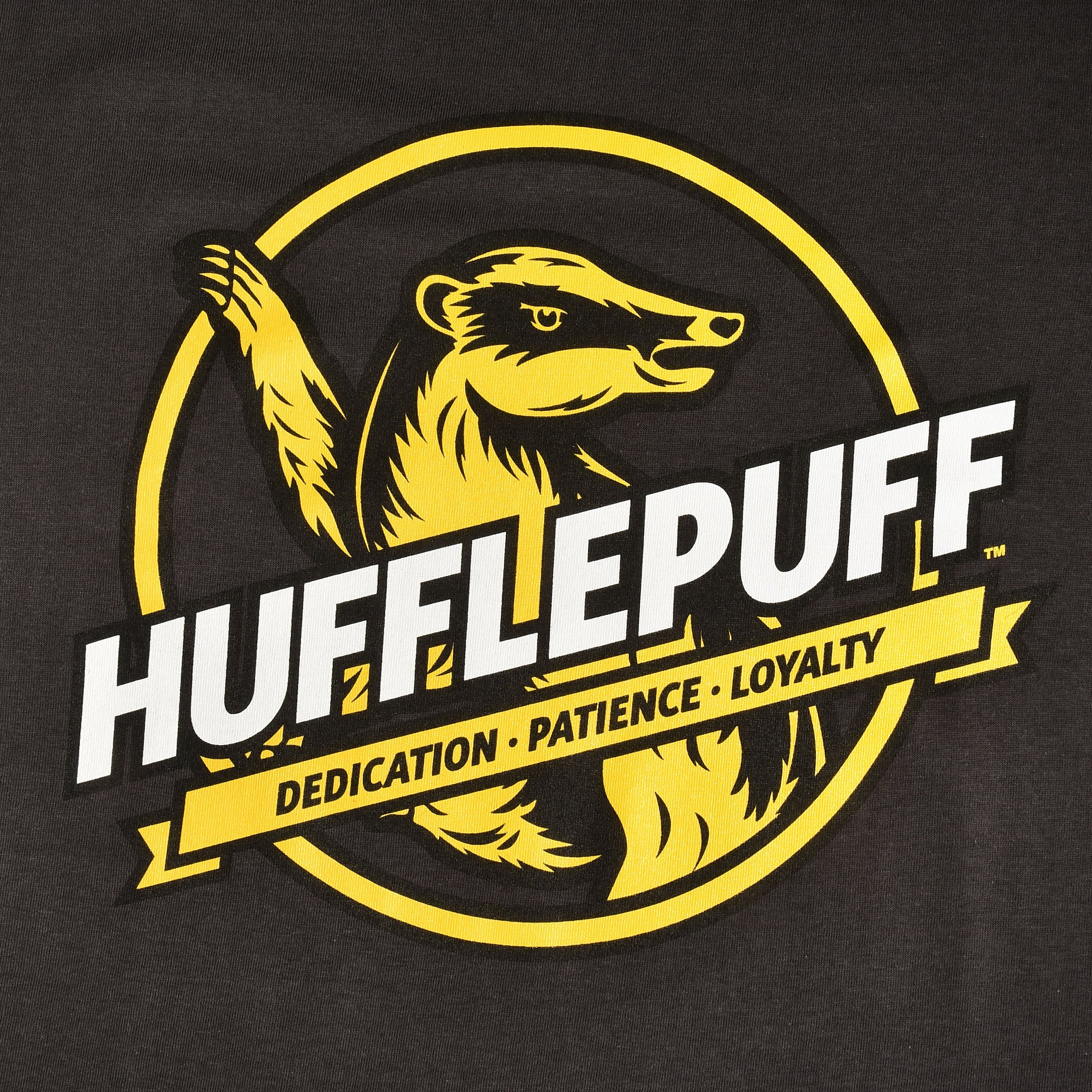 Imagen del producto Camiseta gris de Hufflepuff House Values - Harry Potter