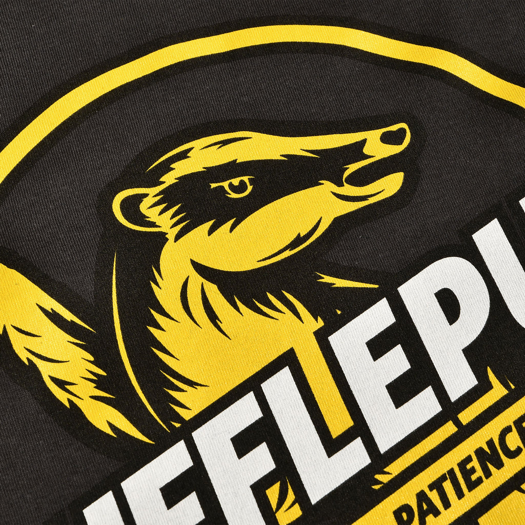 Imagen del producto Camiseta gris de Hufflepuff House Values - Harry Potter