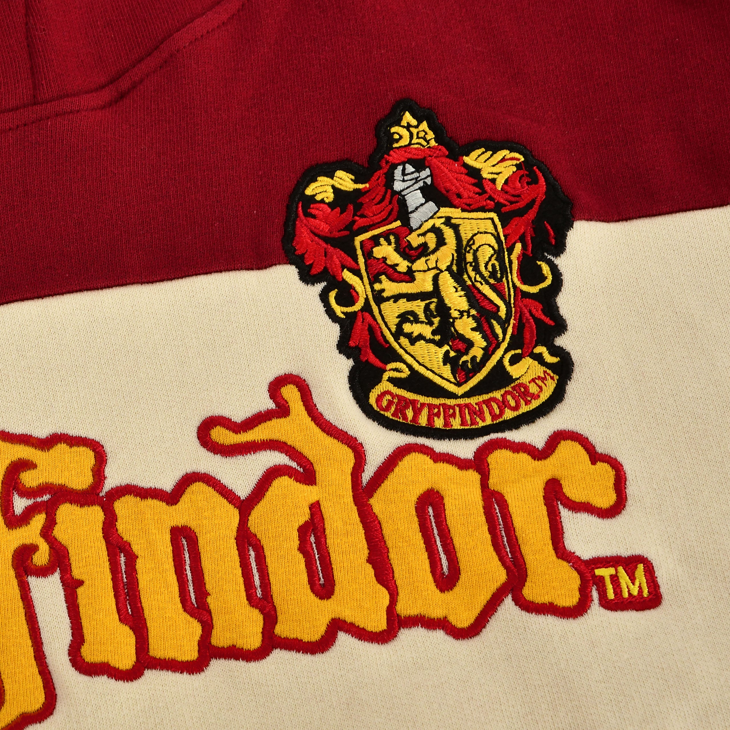Imagen del producto Harry Potter - Team Gryffindor Block Hoodie