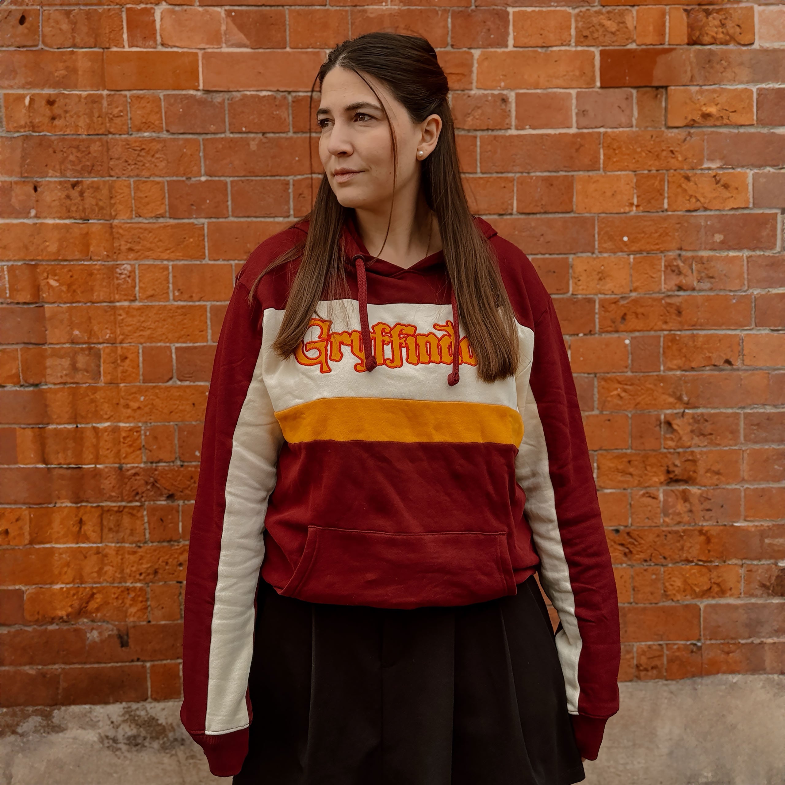 Imagen del producto Harry Potter - Team Gryffindor Block Hoodie