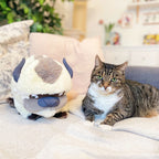 Imagen del producto Avatar: La leyenda de Aang - Peluche de Appa 46 cm