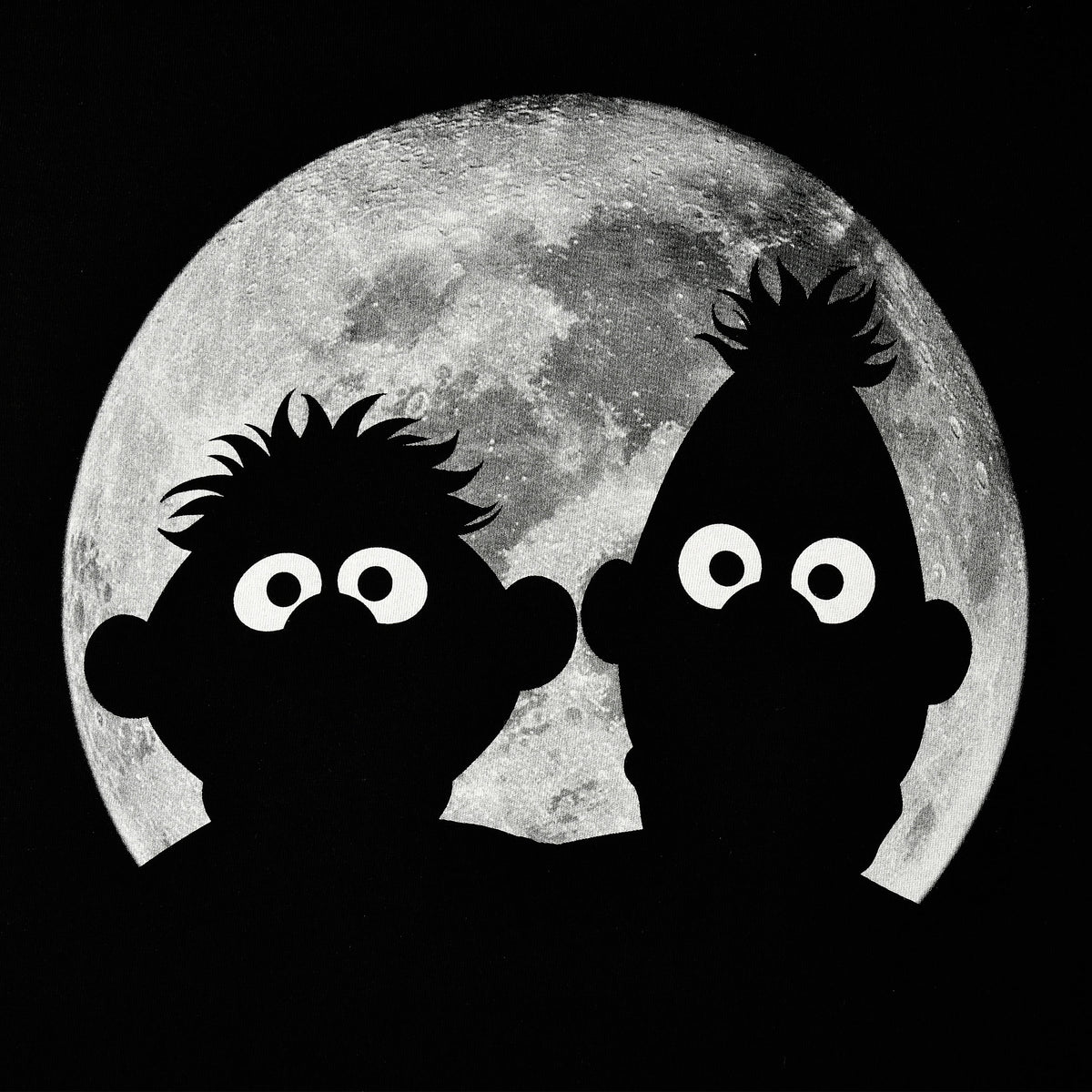 Imagen del producto Sesame Street - Camiseta negra de Ernie & Bert Moonnight