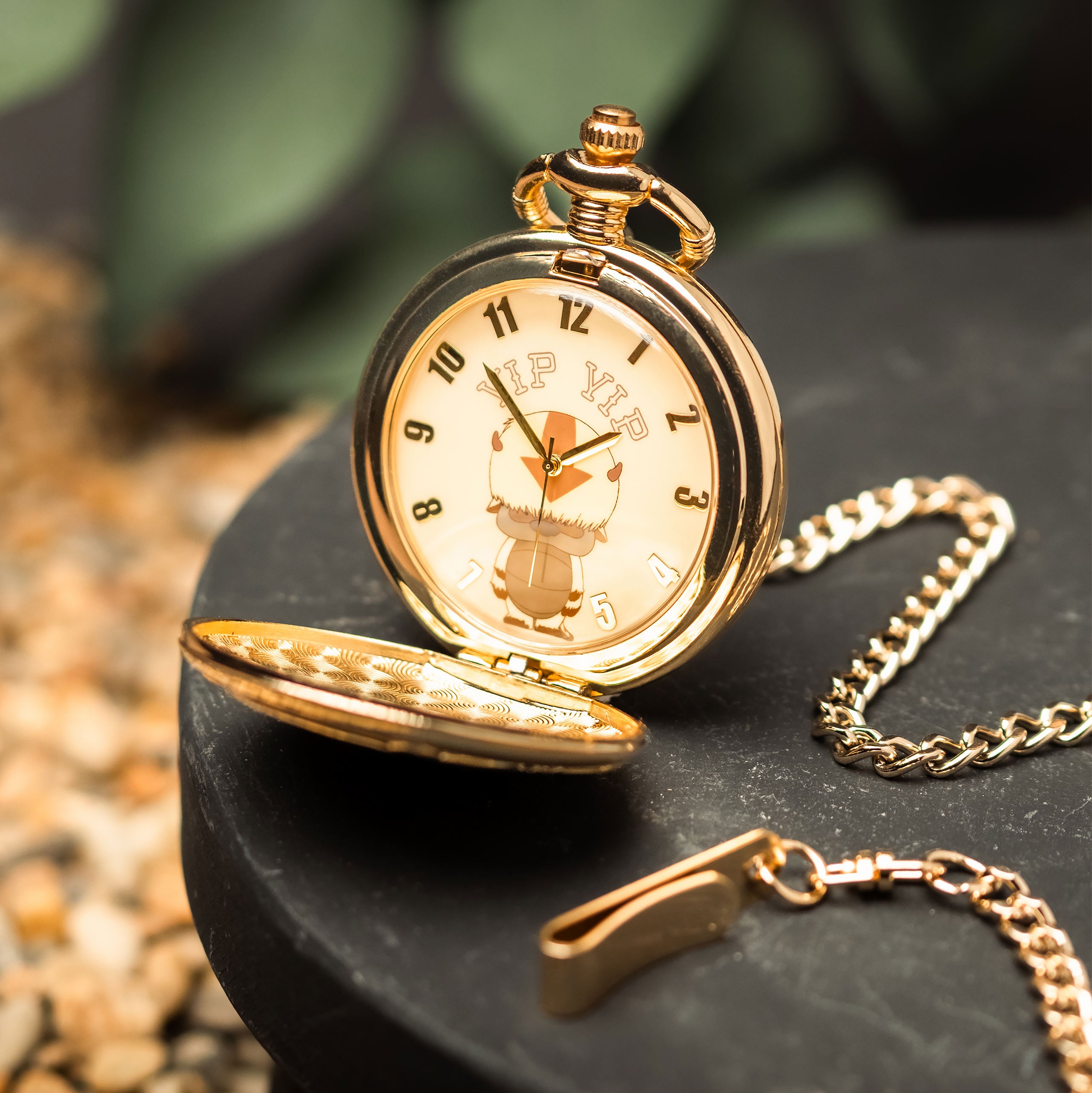 Imagen del producto Avatar The Last Airbender - Reloj de bolsillo Appa