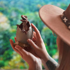 Imagen del producto Jurassic Park - Figura de Diorama de Huevo de Velociraptor Bebé