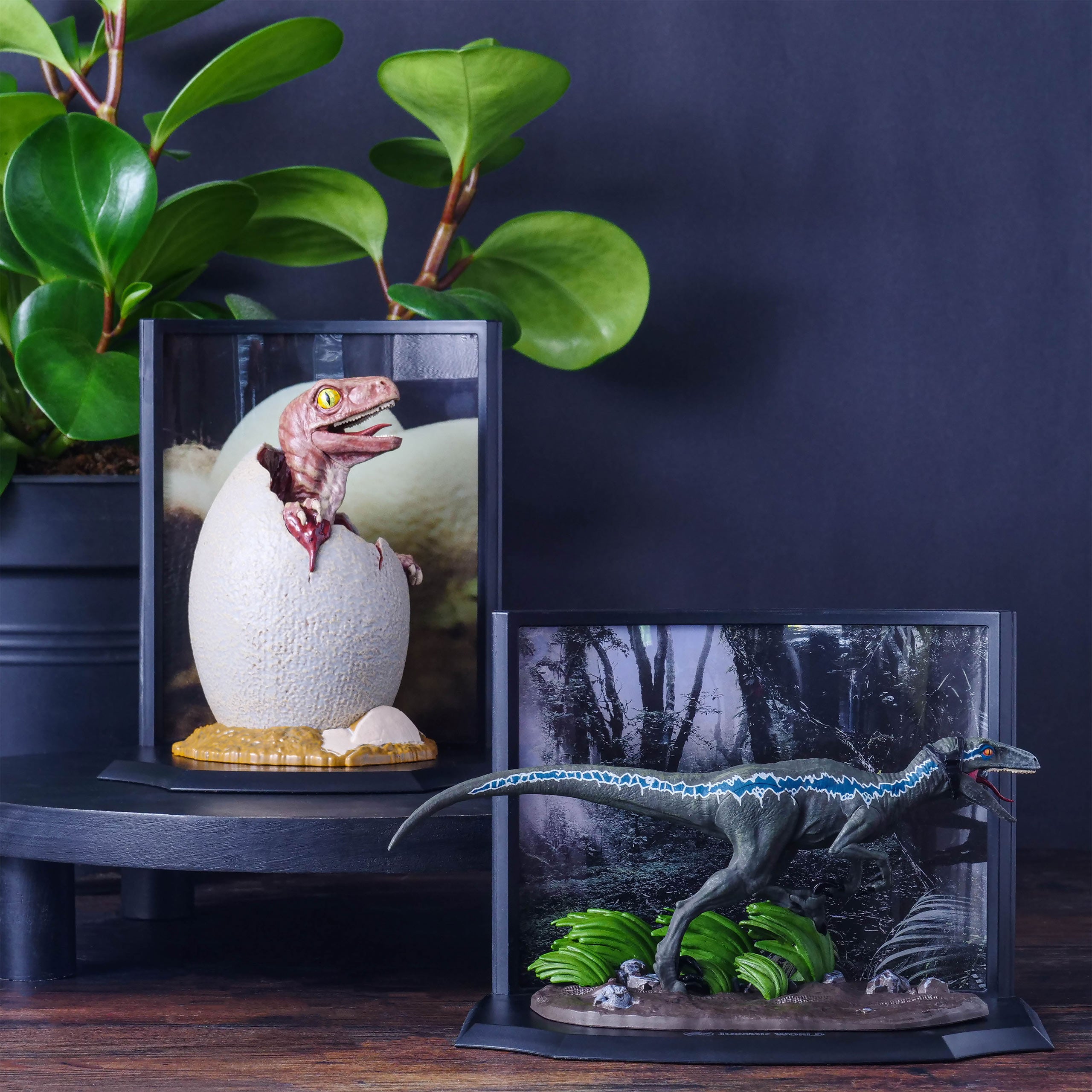 Imagen del producto Jurassic Park - Figura Diorama Velociraptor Blue