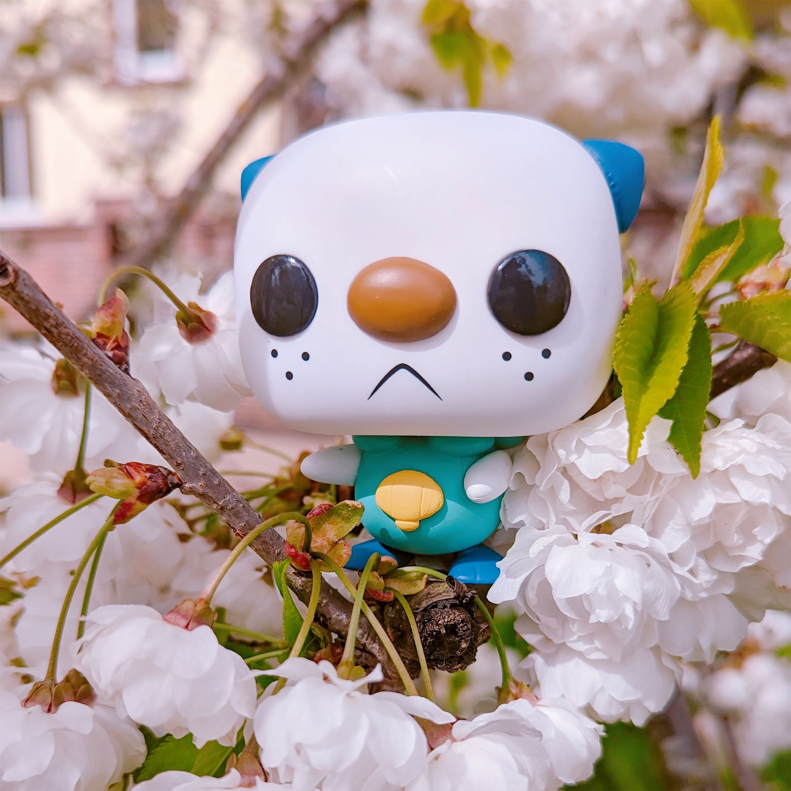 Imagen del producto Pokemon - Figura Funko Pop de Oshawott