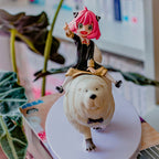 Product image Spy x Family - Anya Forger & Bond Forger Figure
