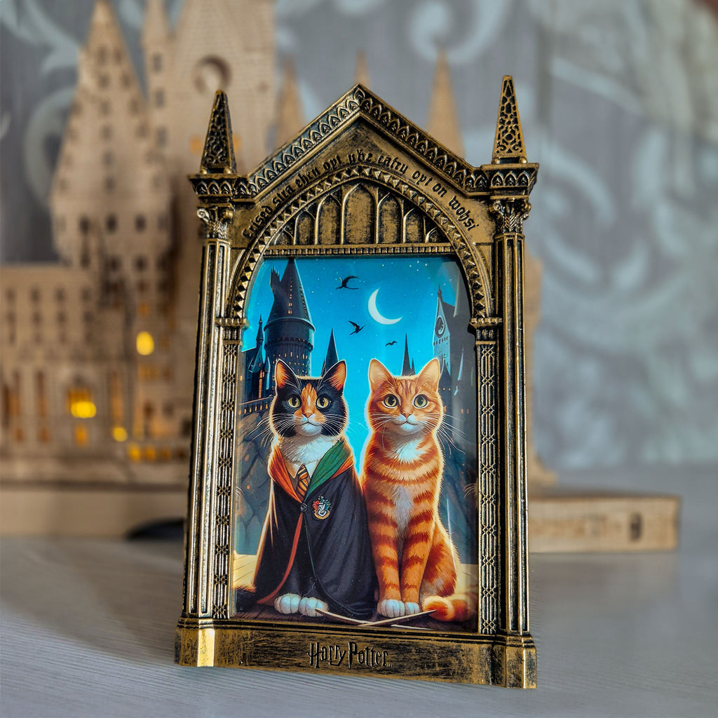 Imagen del producto Harry Potter - Marco de fotos Espejo de Oesed