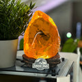 Imagen del producto Jurassic Park - Lámpara de mesa Mosquito Amber