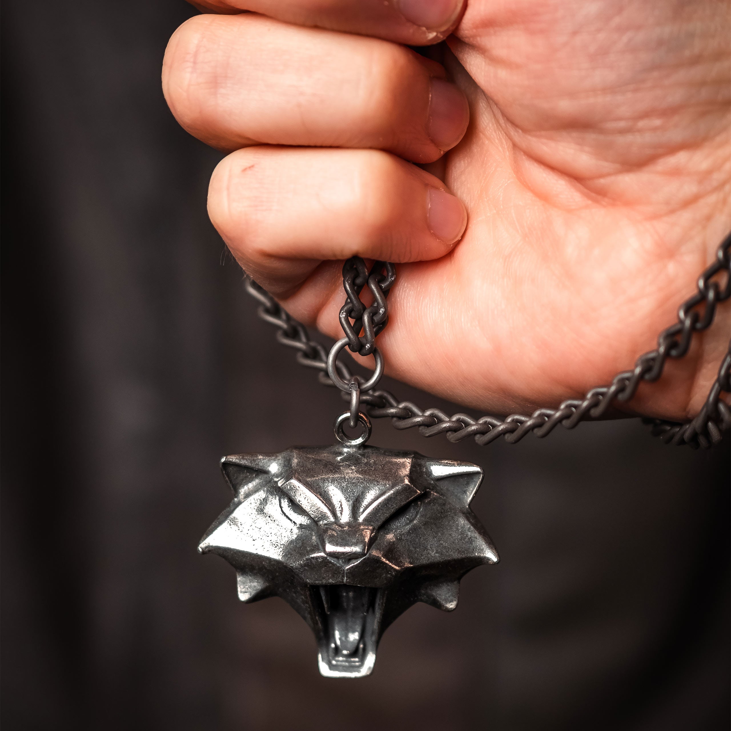 Imagen del producto Witcher - Collar de medallón de la Escuela del Gato