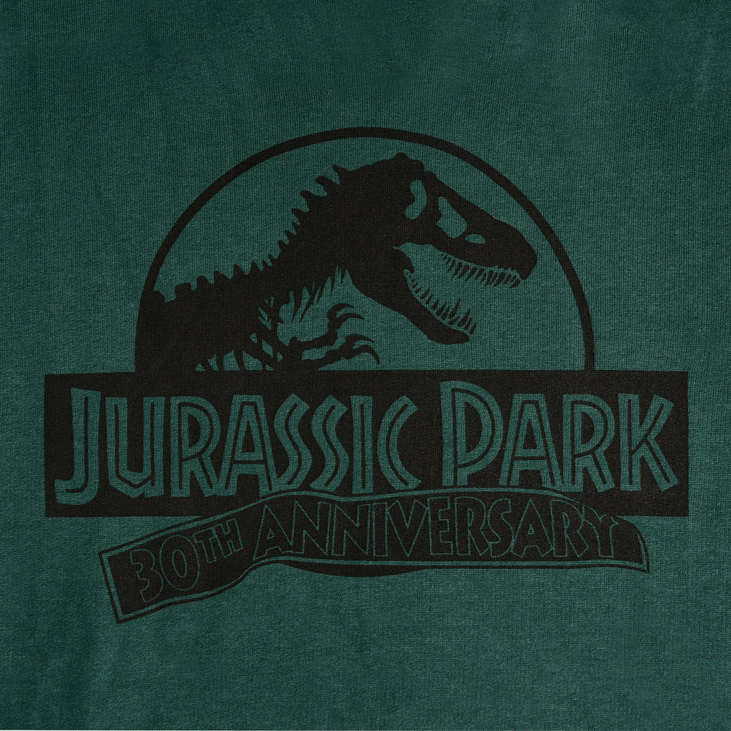 Imagen del producto Jurassic Park - Isla Nublar Hoodie verde