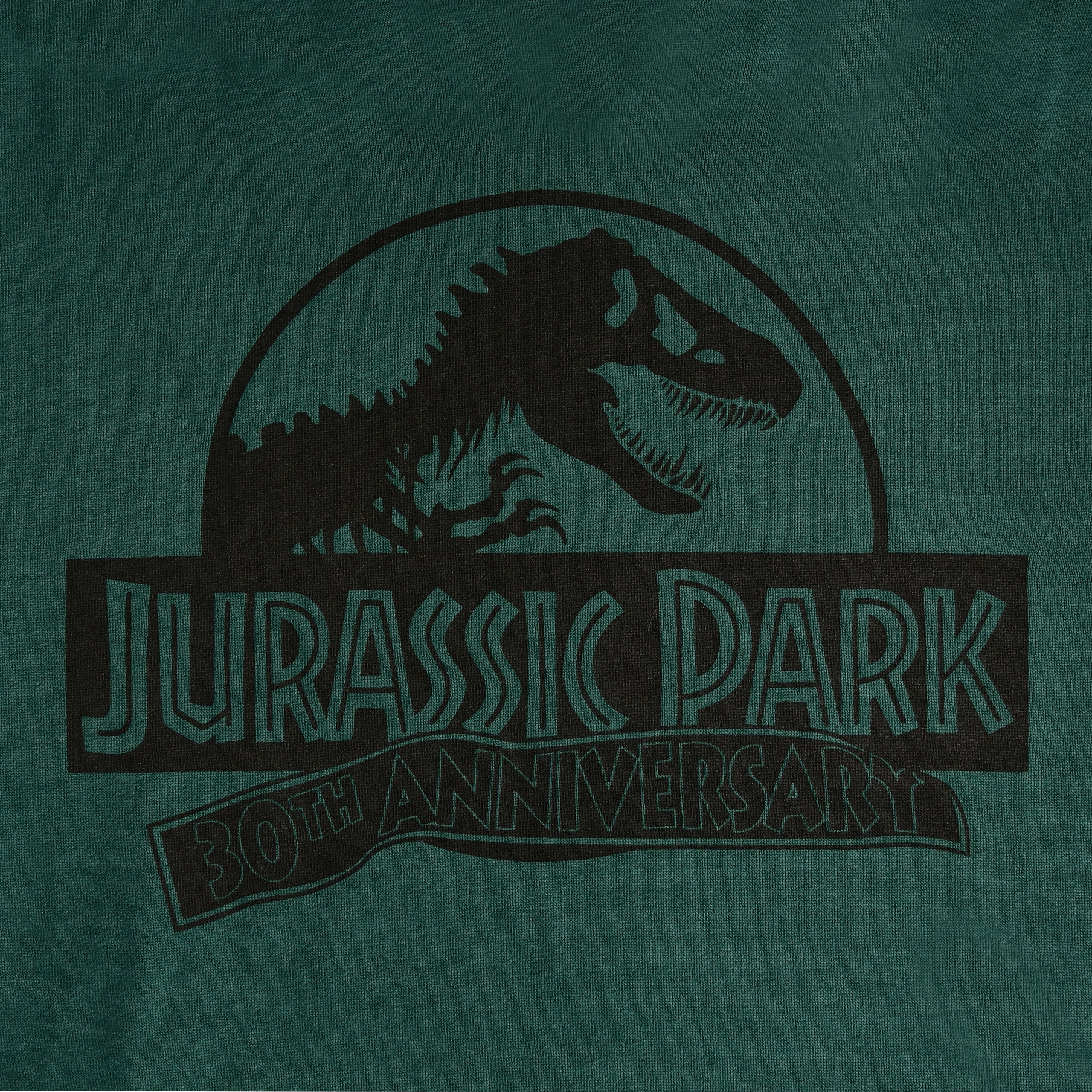 Imagen del producto Jurassic Park - Isla Nublar Hoodie verde