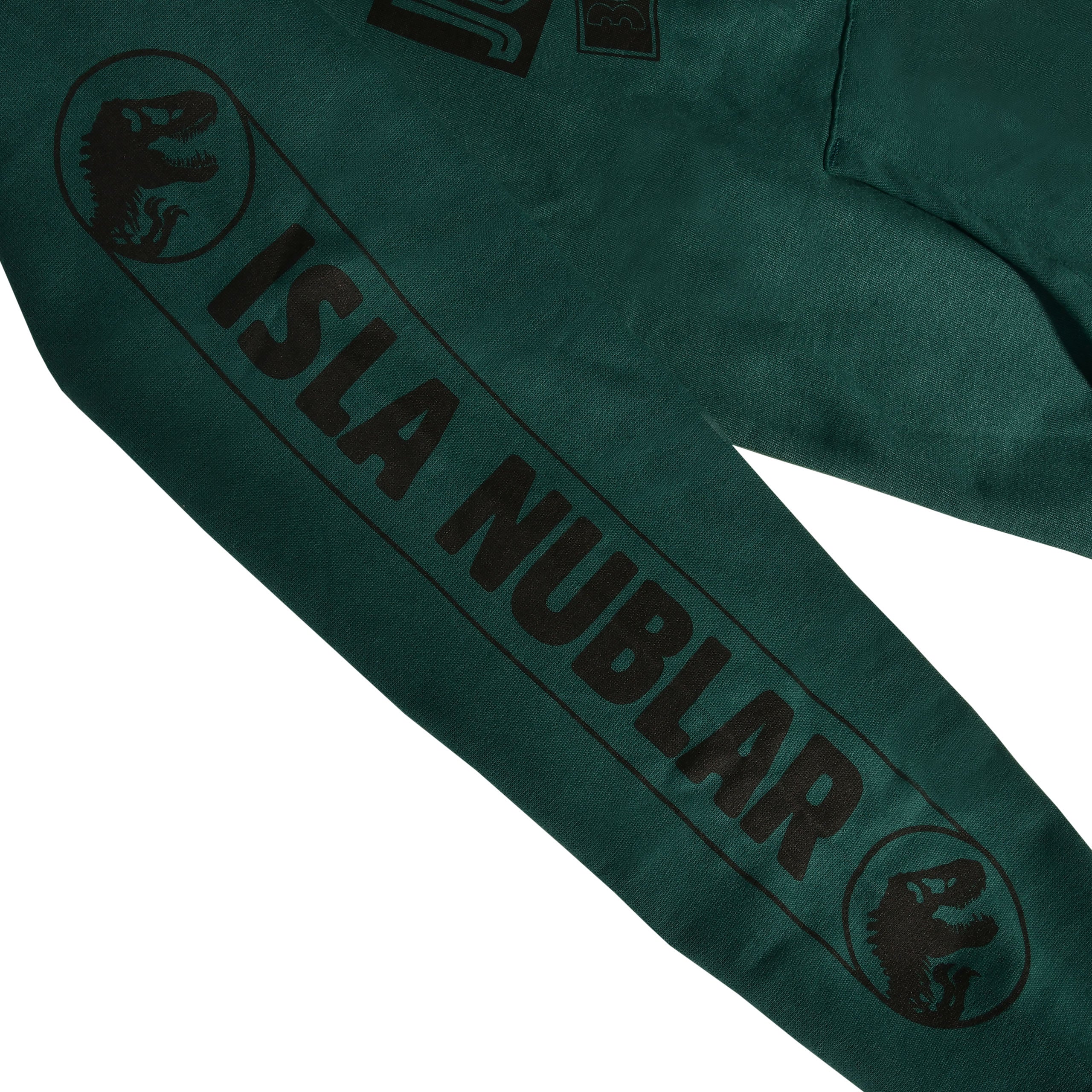 Imagen del producto Jurassic Park - Isla Nublar Hoodie verde