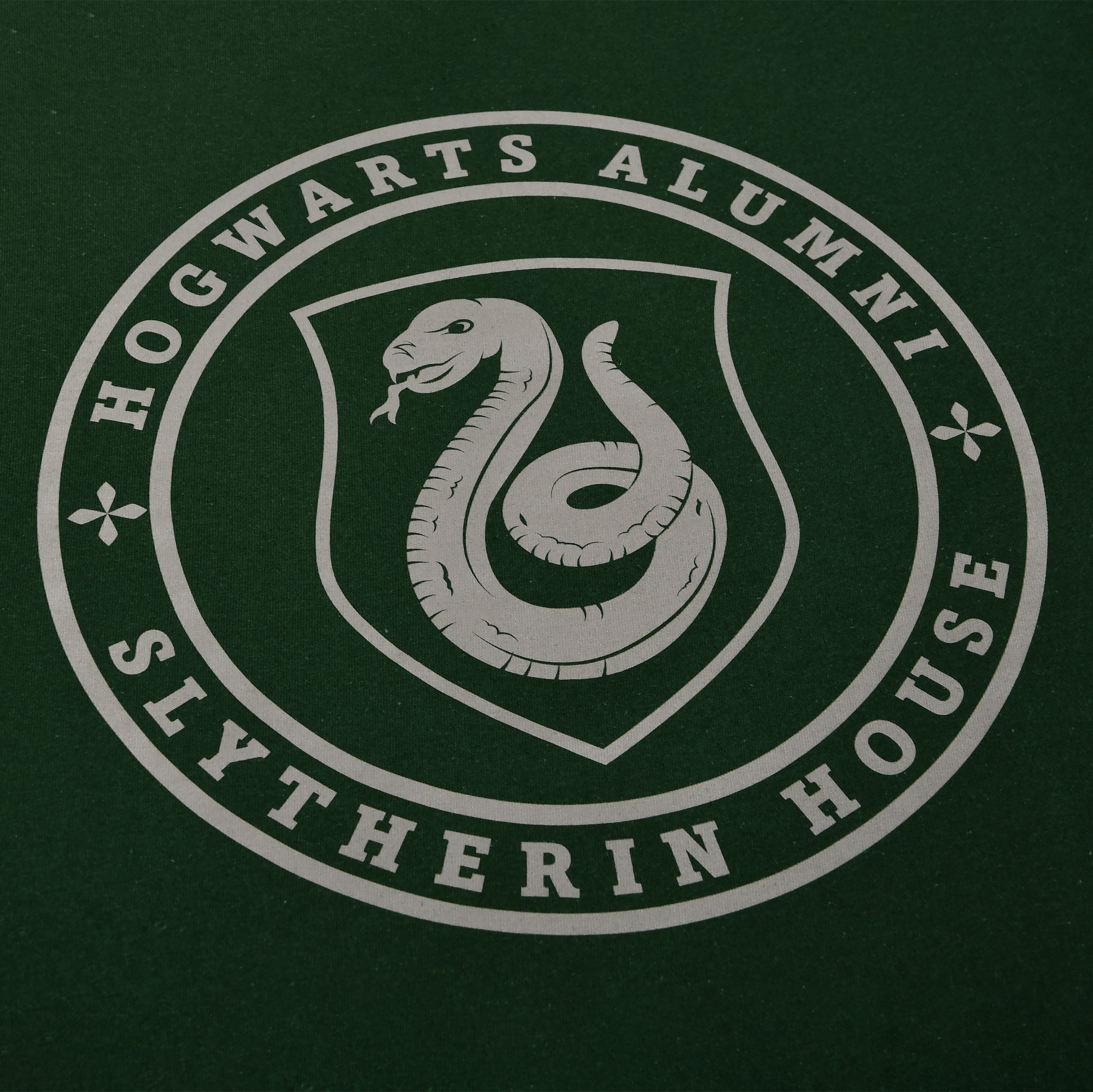 Imagen del producto Camiseta verde de Slytherin Hogwarts Alumni - Harry Potter