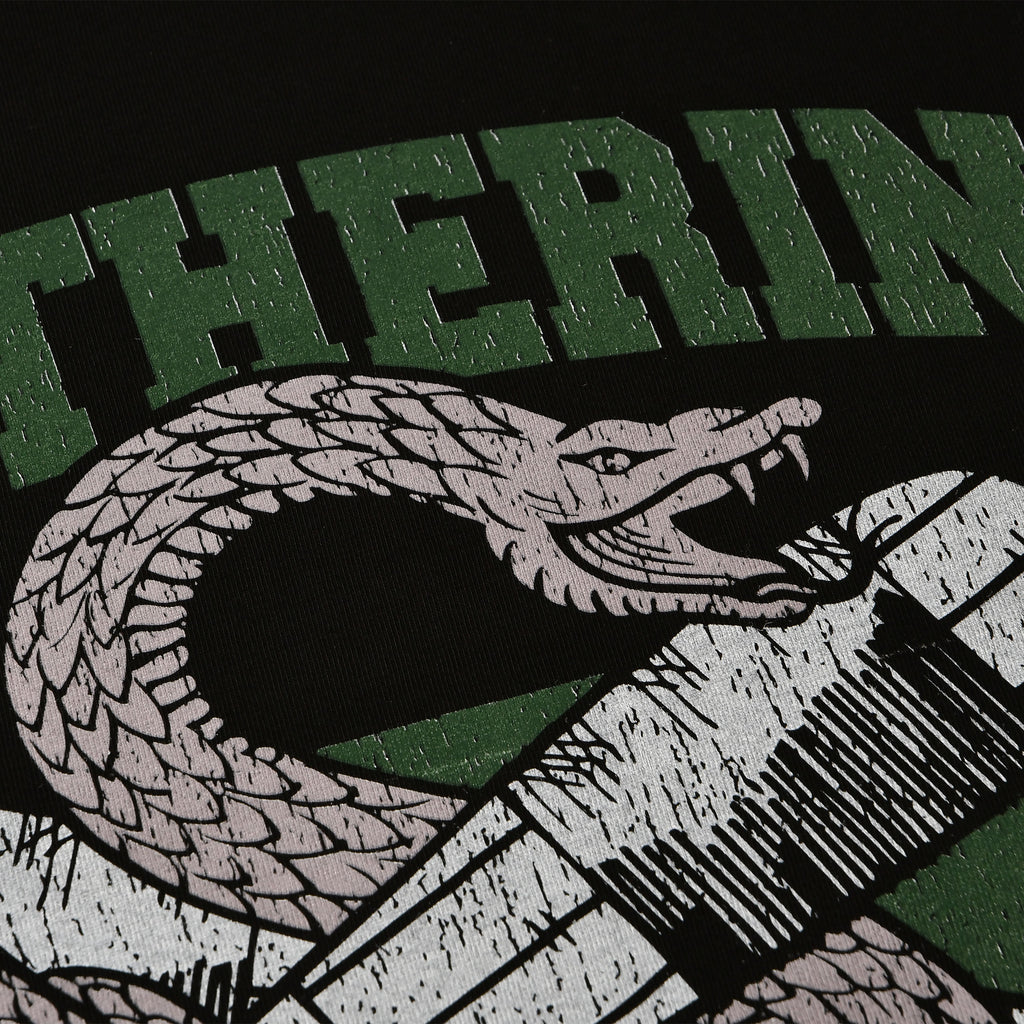 Imagen del producto Camiseta de colegio Quidditch Slytherin negra - Harry Potter