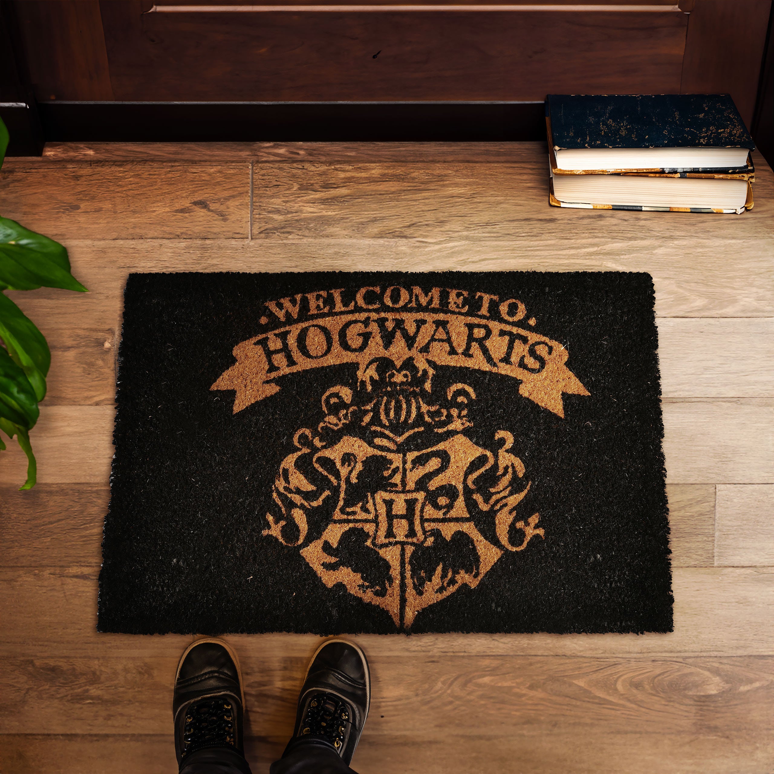 Imagen del producto Harry Potter - Bienvenido a Hogwarts Alfombra de pie