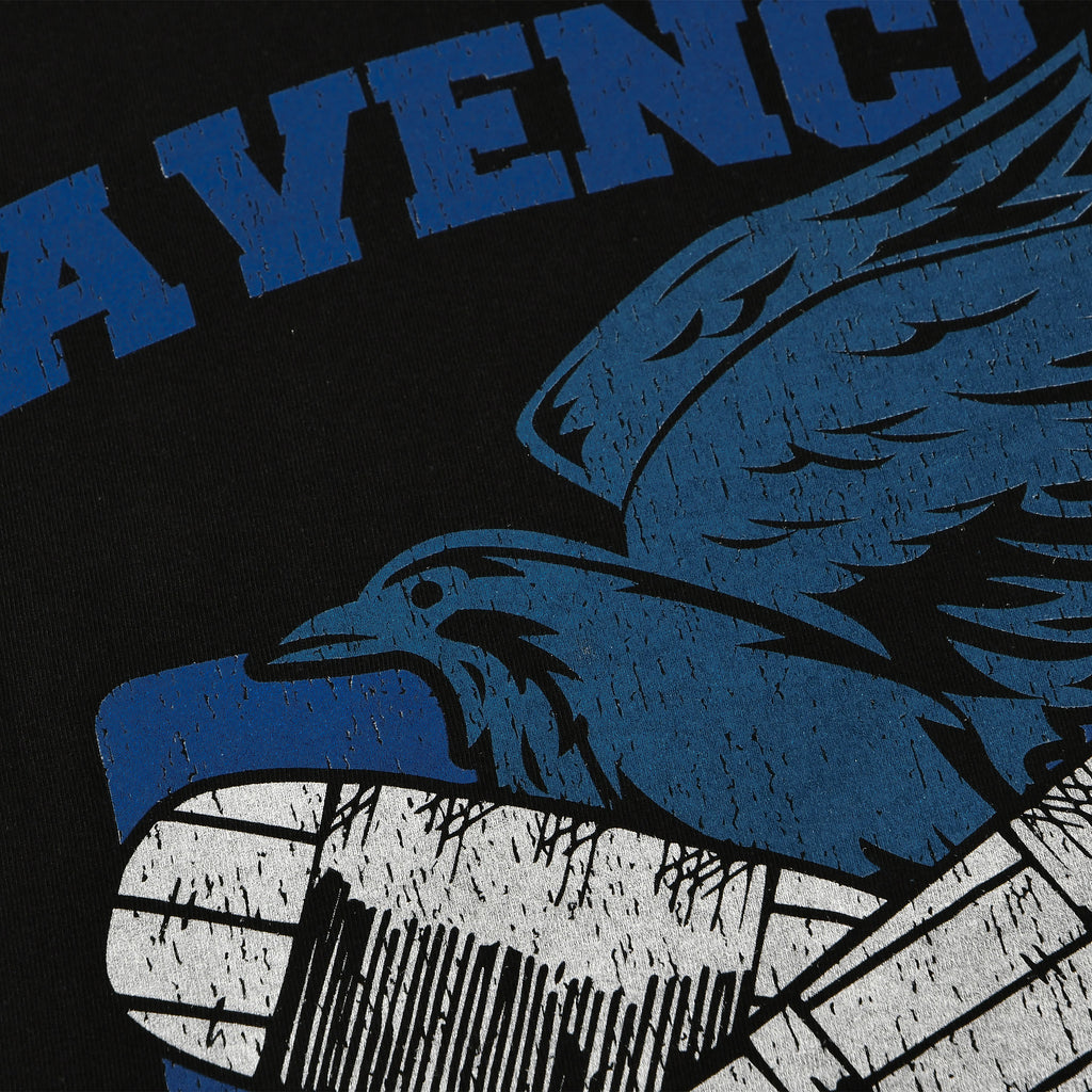 Imagen del producto Camiseta universitaria de Quidditch de Ravenclaw negra - Harry Potter
