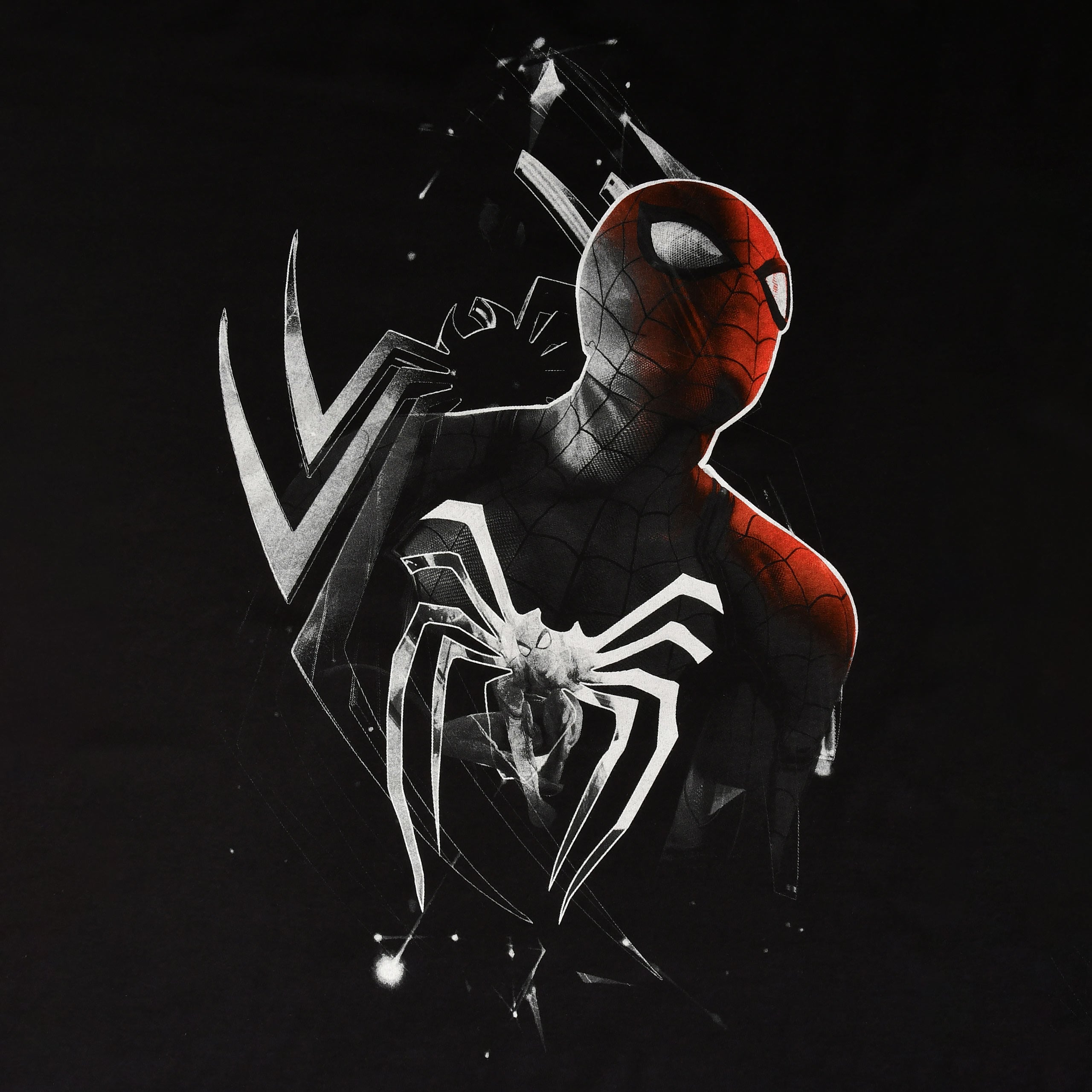 Imagen del producto Spider-Man - Camiseta Dimension negra