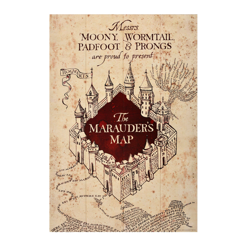 Imagen del producto Harry Potter - Mapa del Merodeador Cuadro de Madera