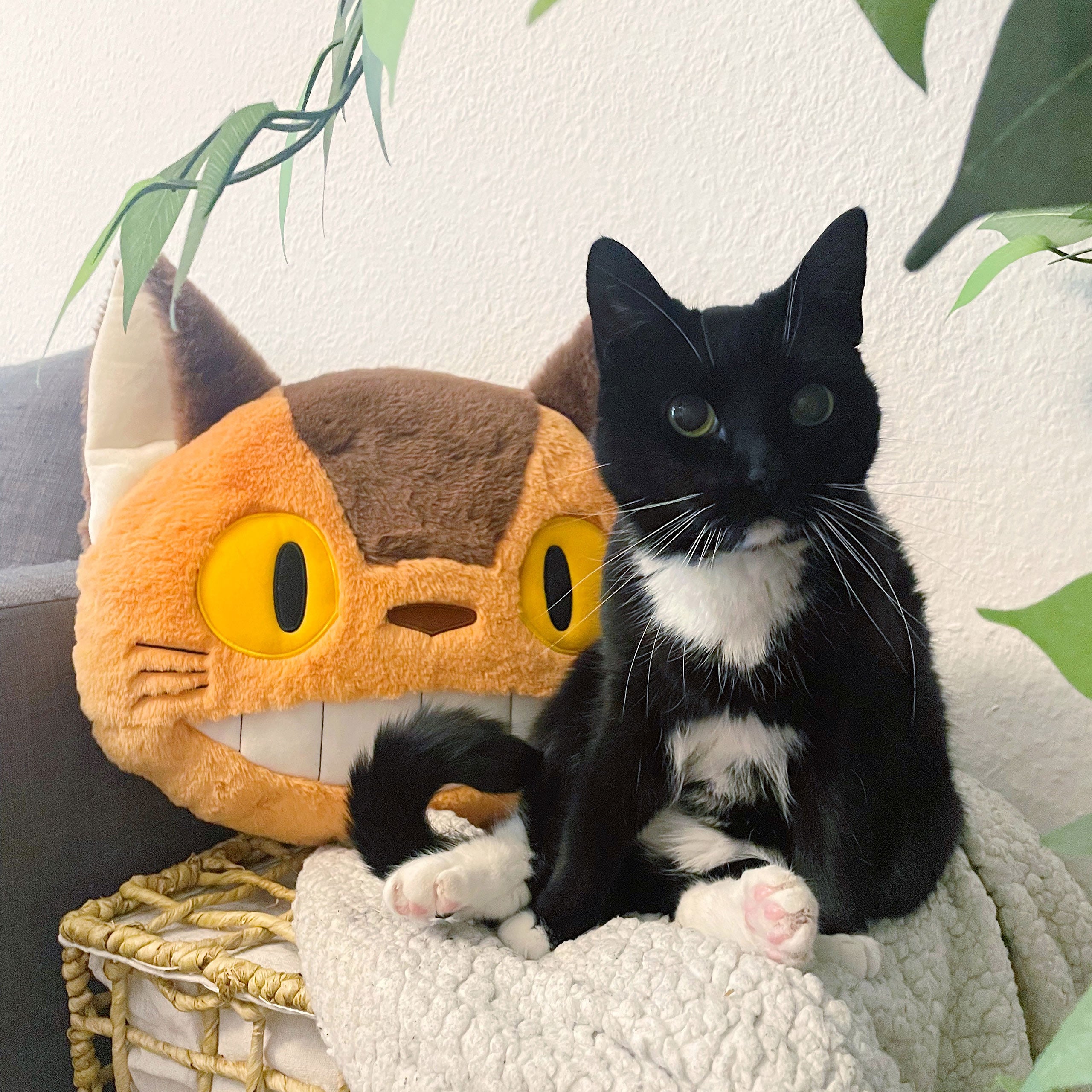 Imagen del producto Totoro - Cojín de peluche Nakayoshi del autobús gato