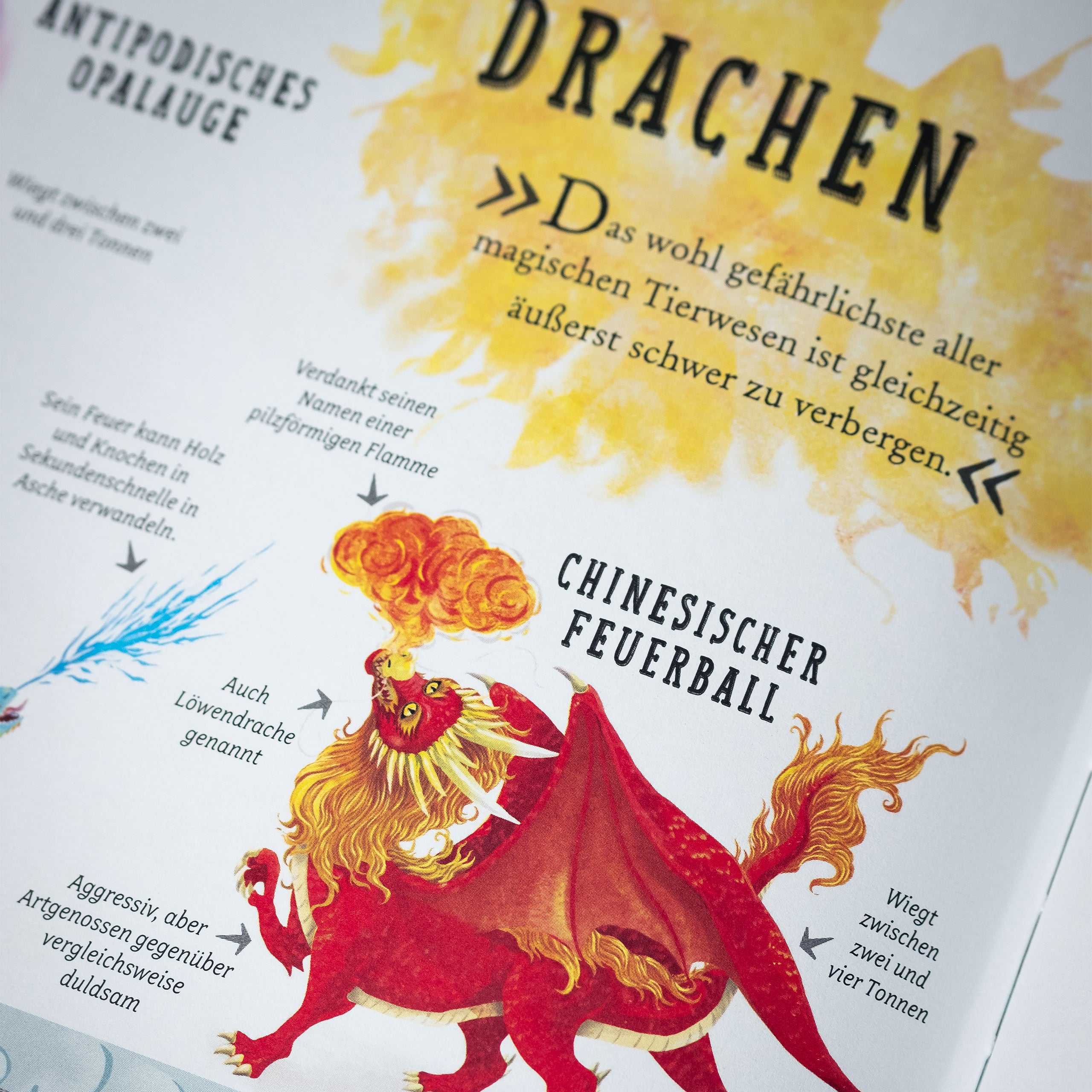 Imagen del producto El mundo mágico de Harry Potter - El manual oficial