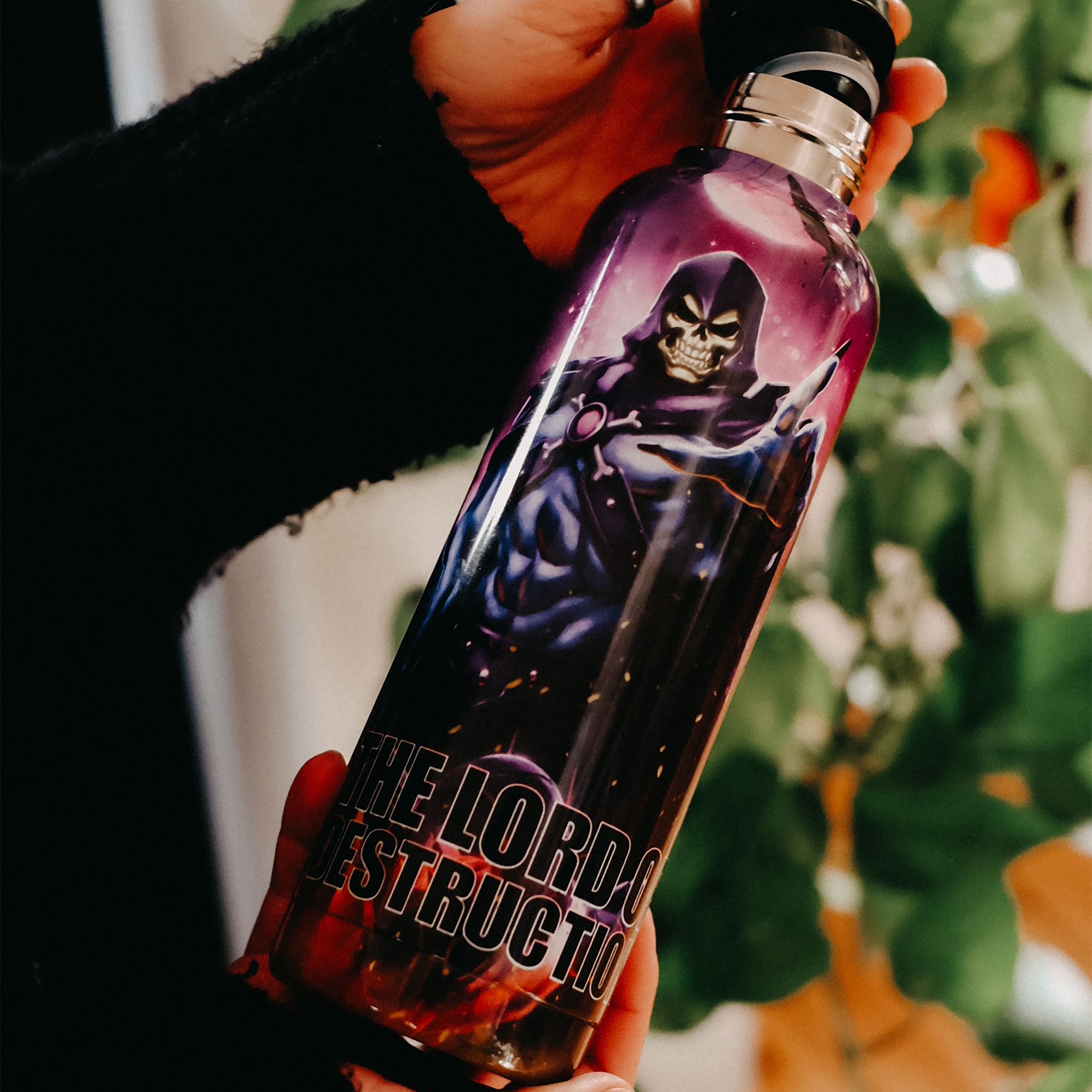 Imagen del producto Masters of the Universe - Botella de agua